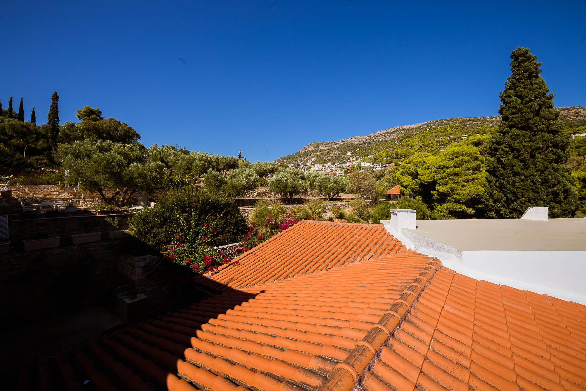 Export x3 1DX22399 Reportage