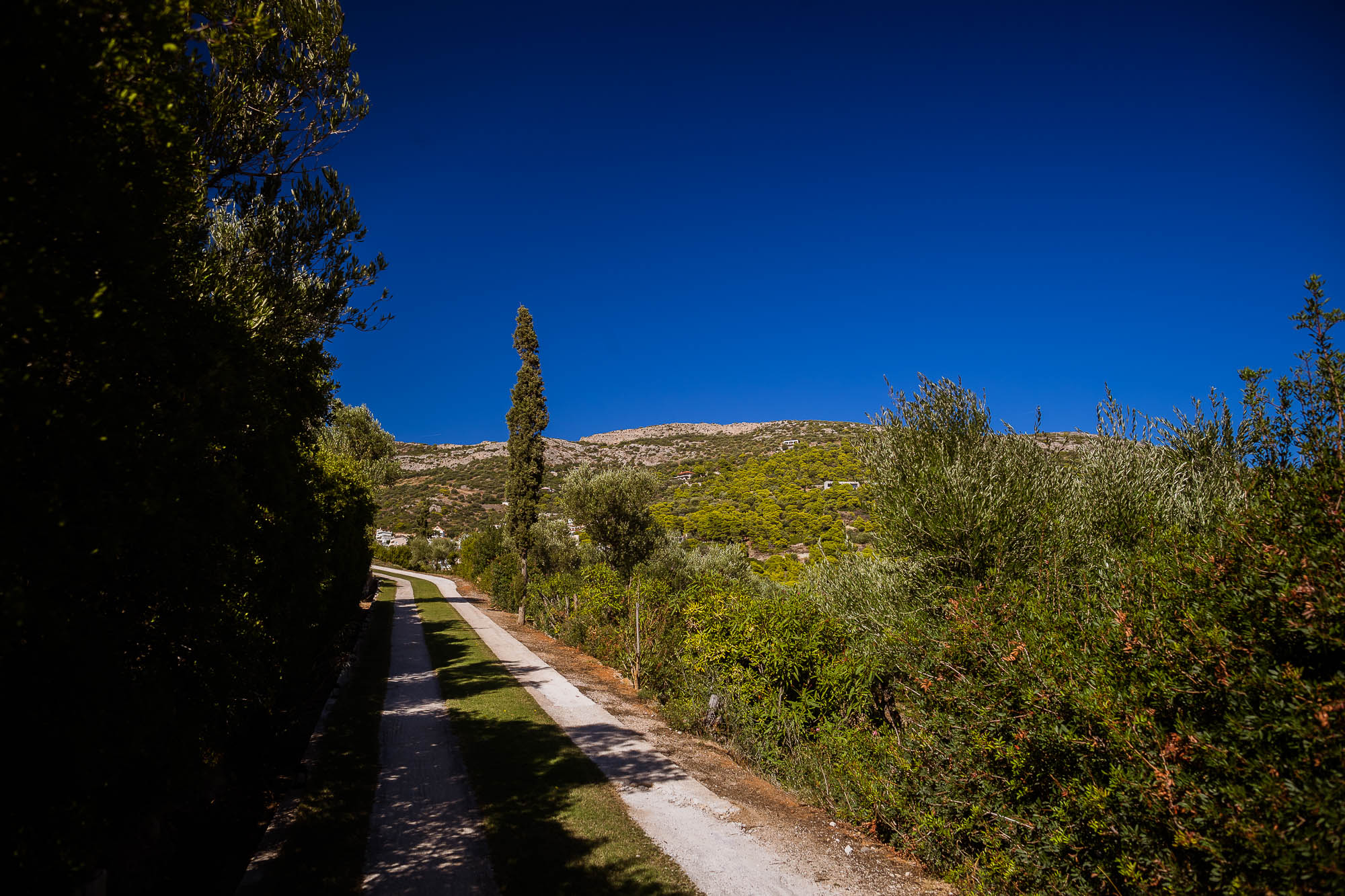 Export x3 1DX22585 Reportage