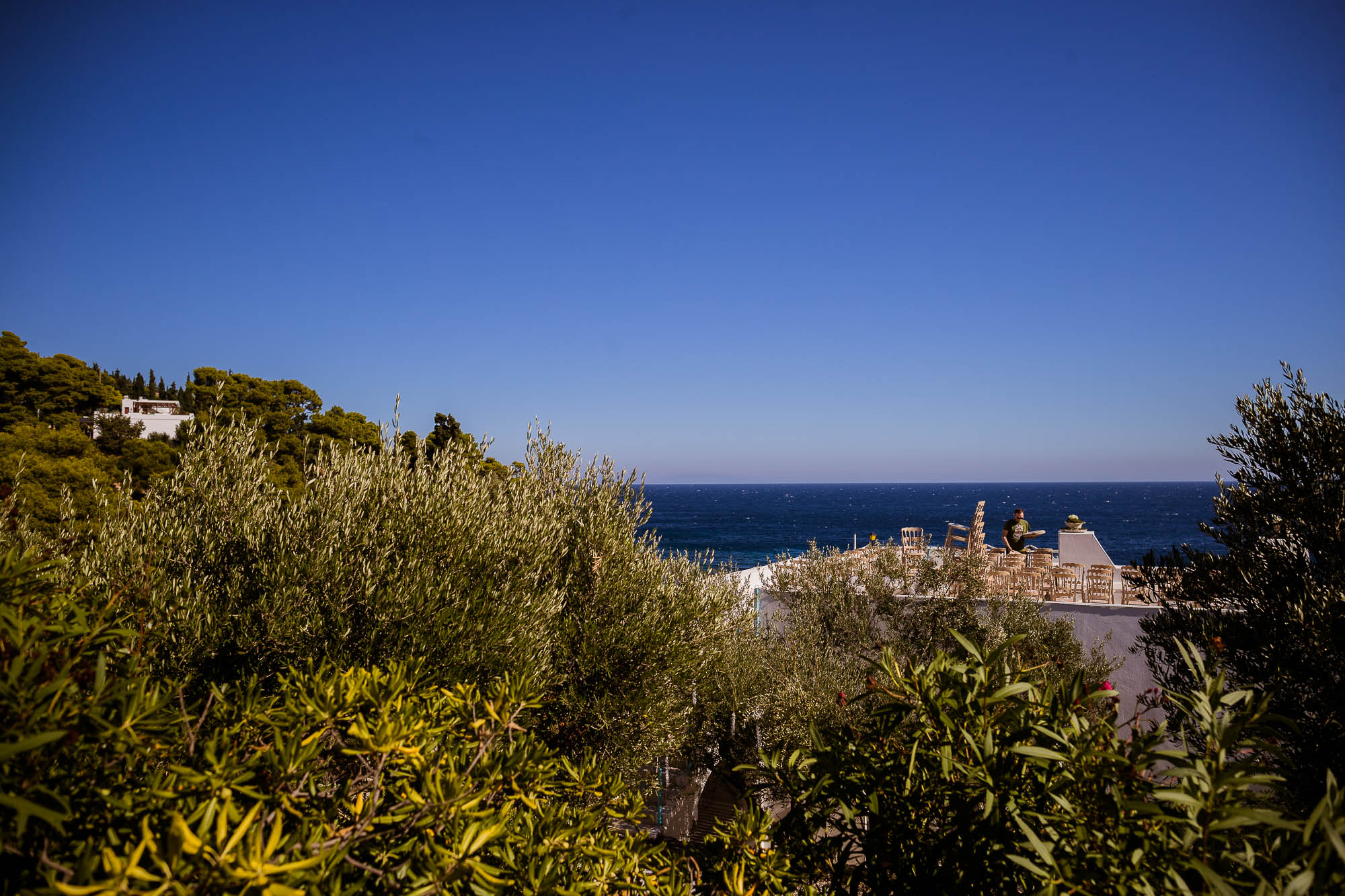 Export x3 1DX22586 Reportage