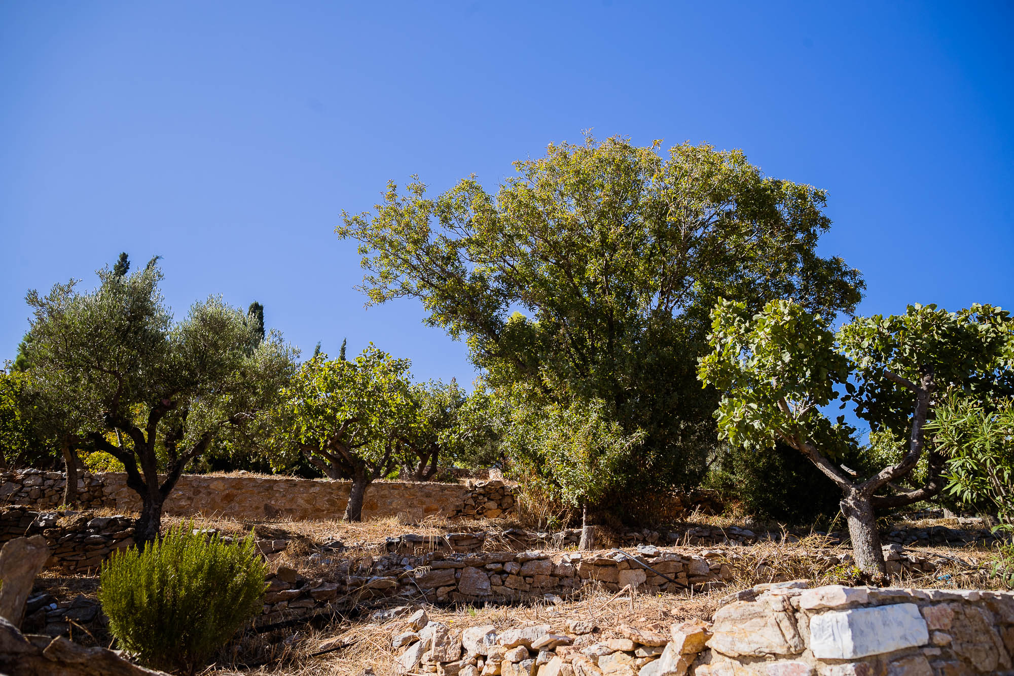 Export x3 1DX22587 Reportage