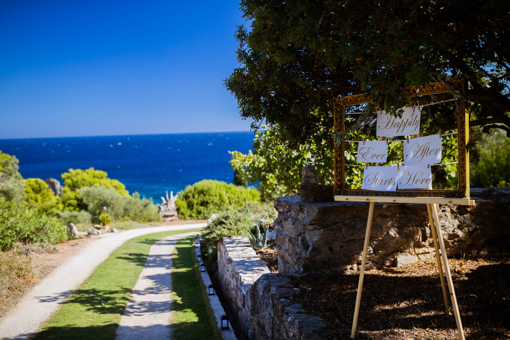 Export x3 1DX22596 Reportage