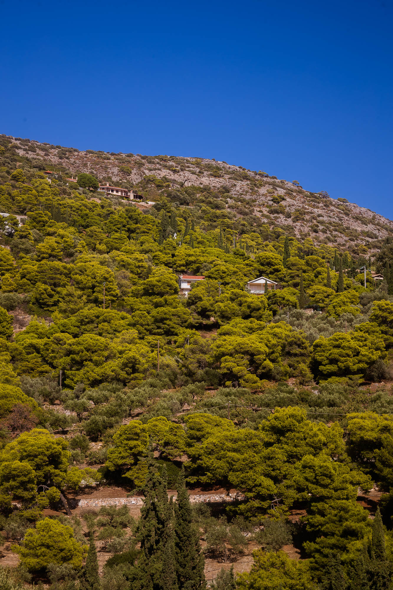 Export x3 1DX22600 Reportage