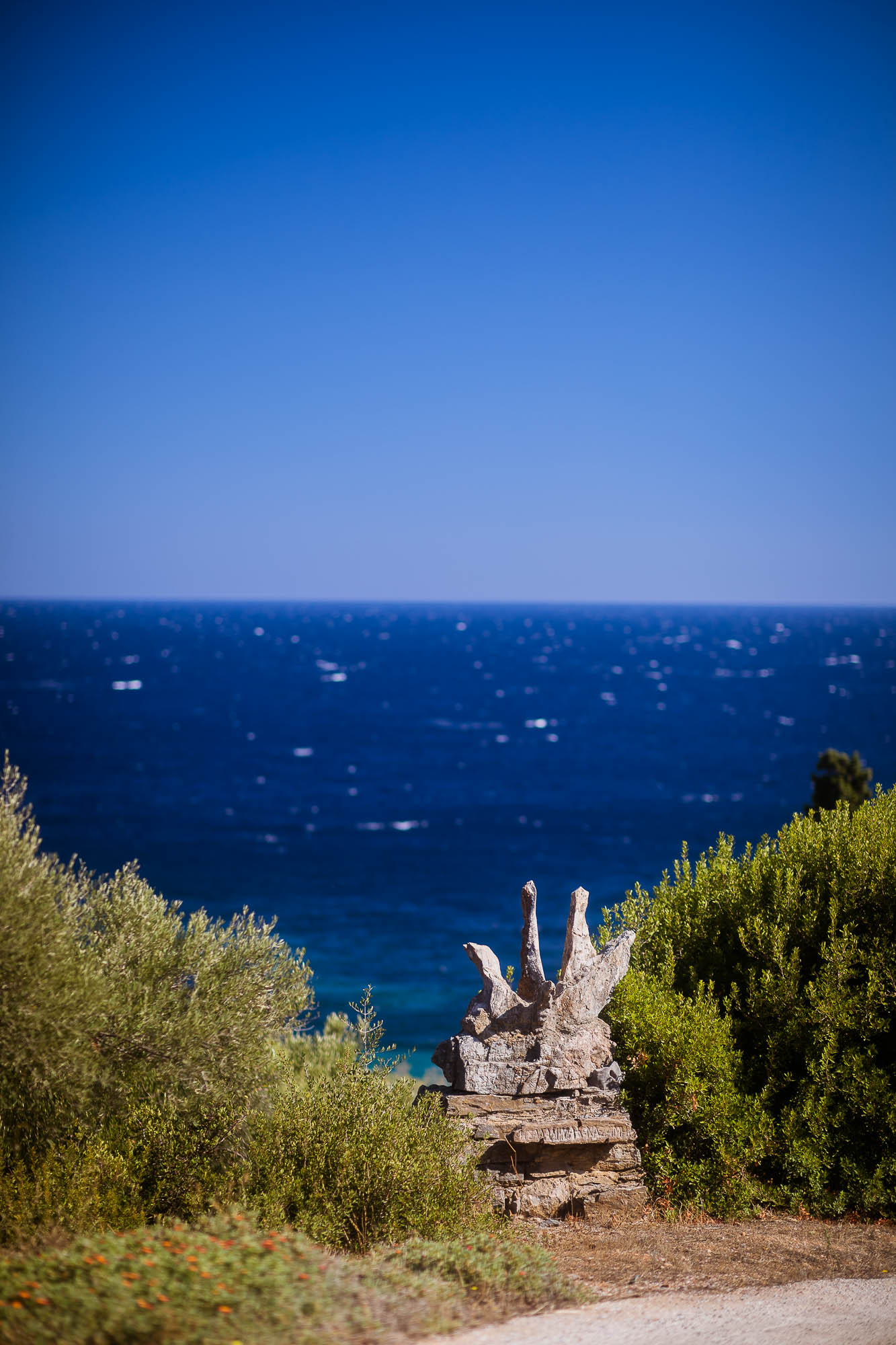 Export x3 1DX22606 Reportage