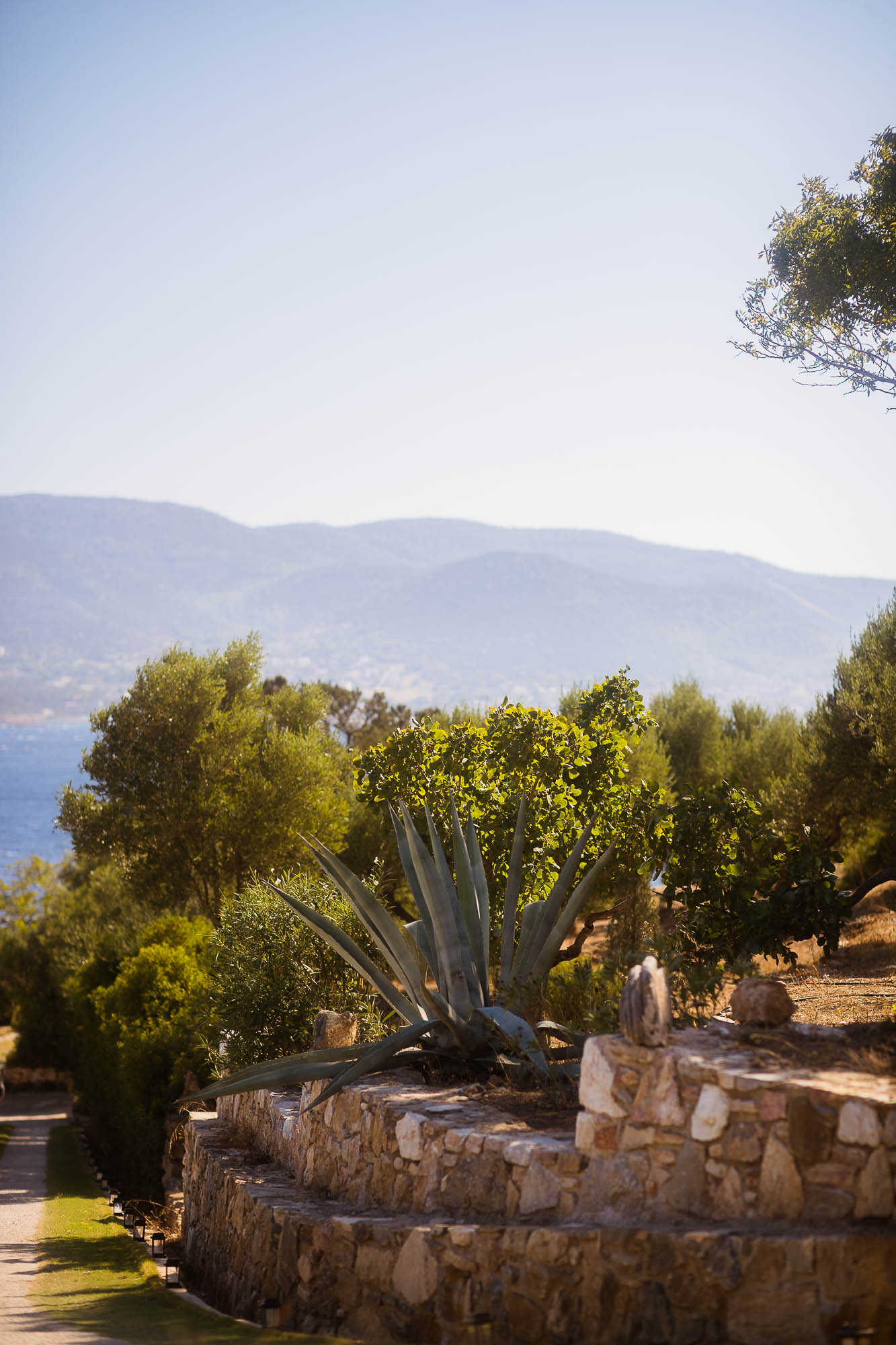 Export x3 1DX22609 Reportage