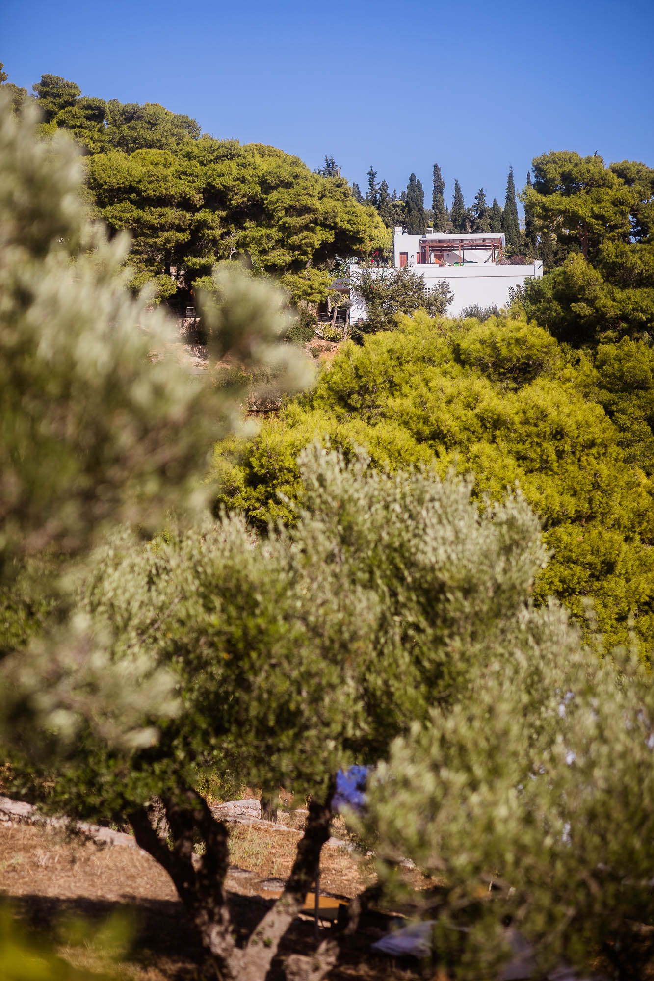 Export x3 1DX22620 Reportage