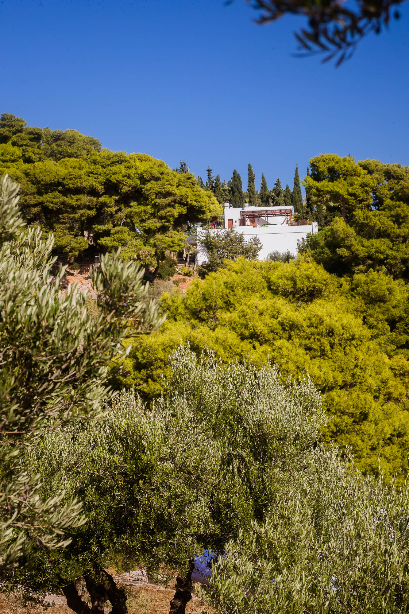 Export x3 1DX22623 Reportage