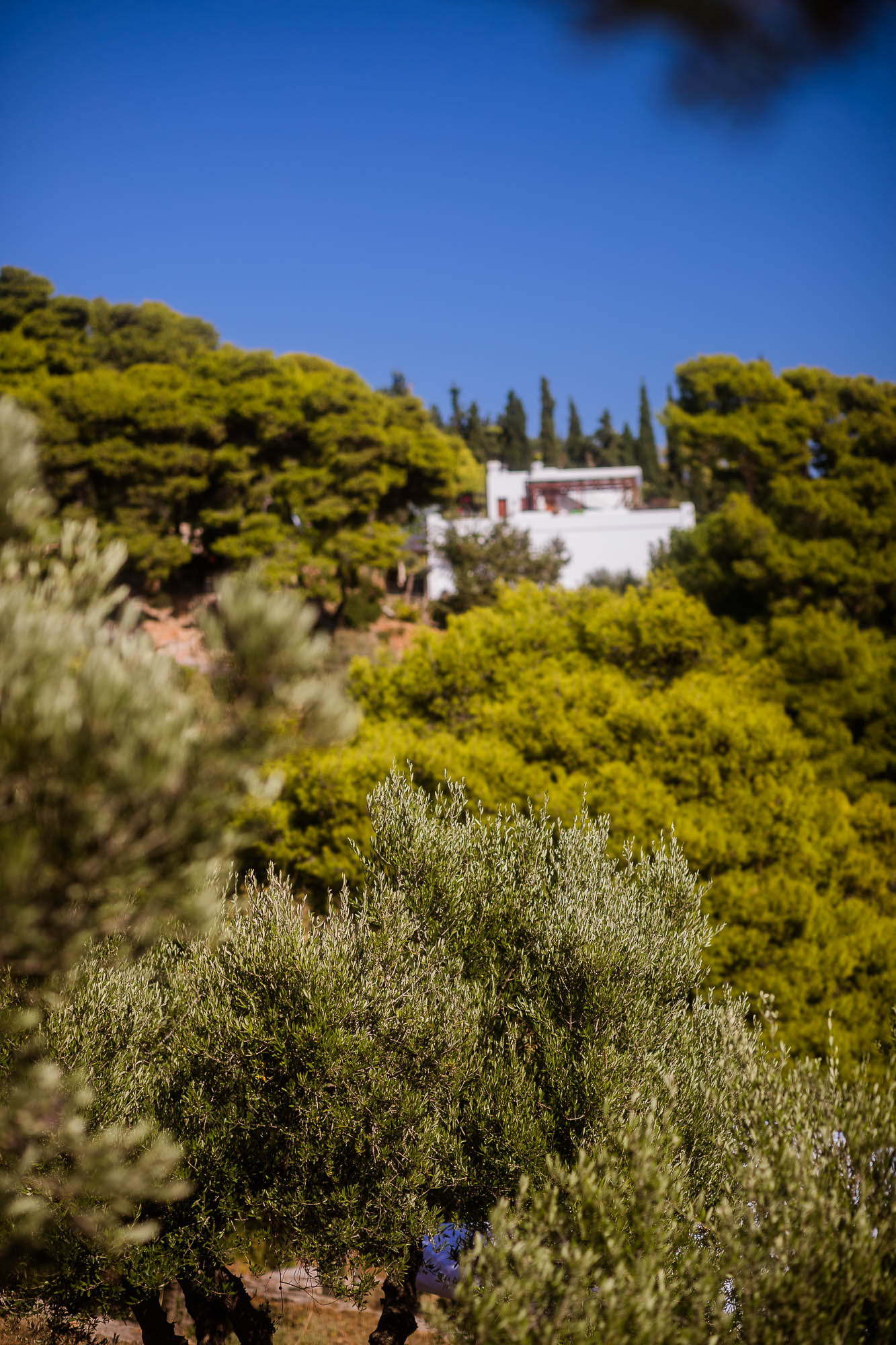 Export x3 1DX22624 Reportage