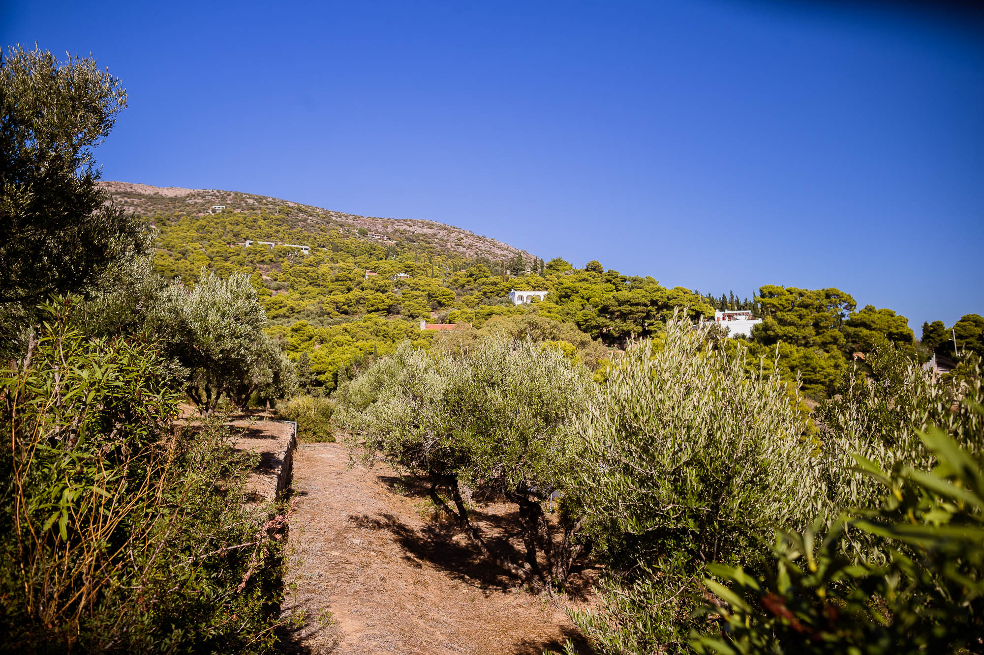 Export x3 1DX22628 Reportage