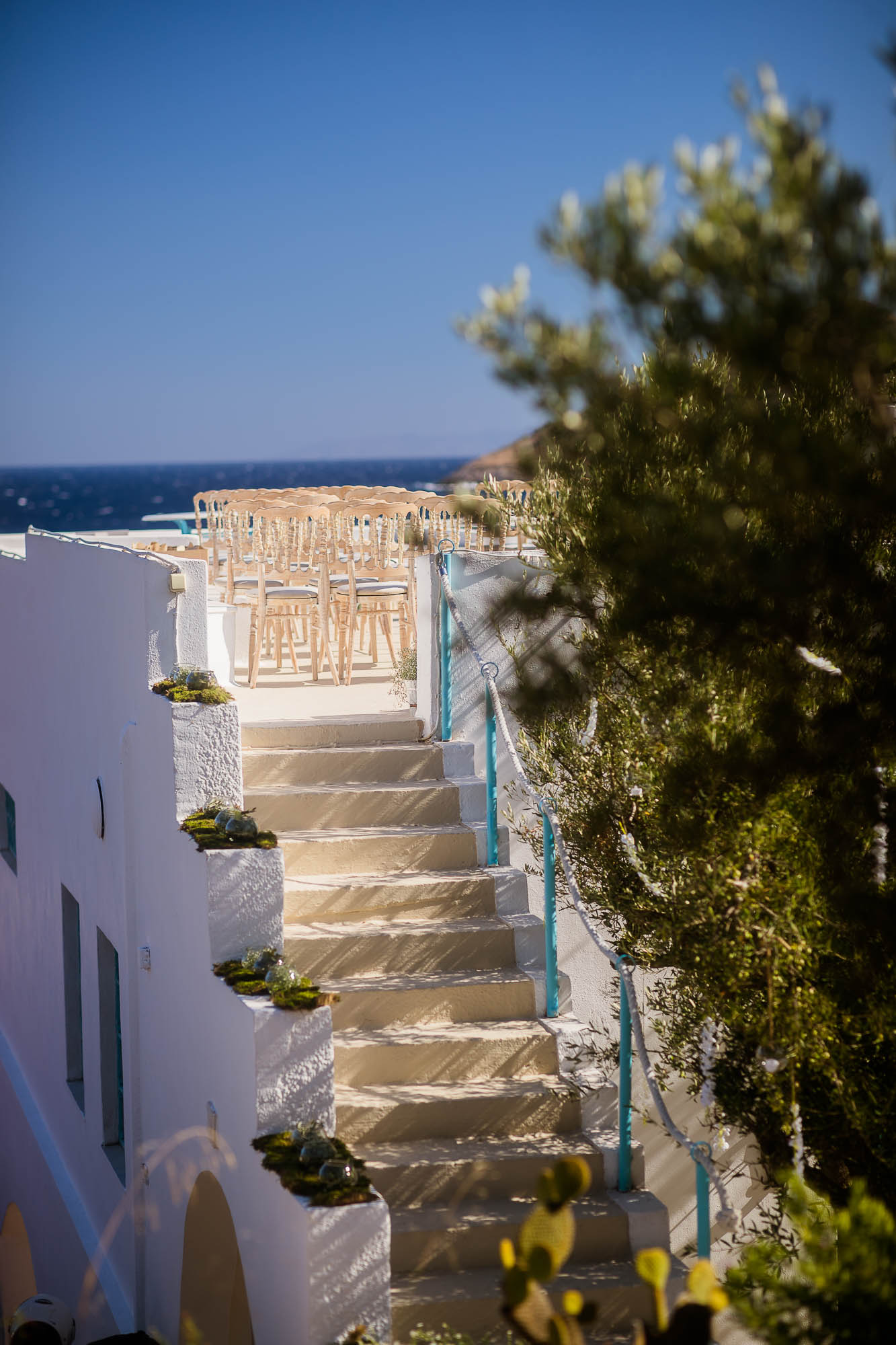 Export x3 1DX22632 Reportage