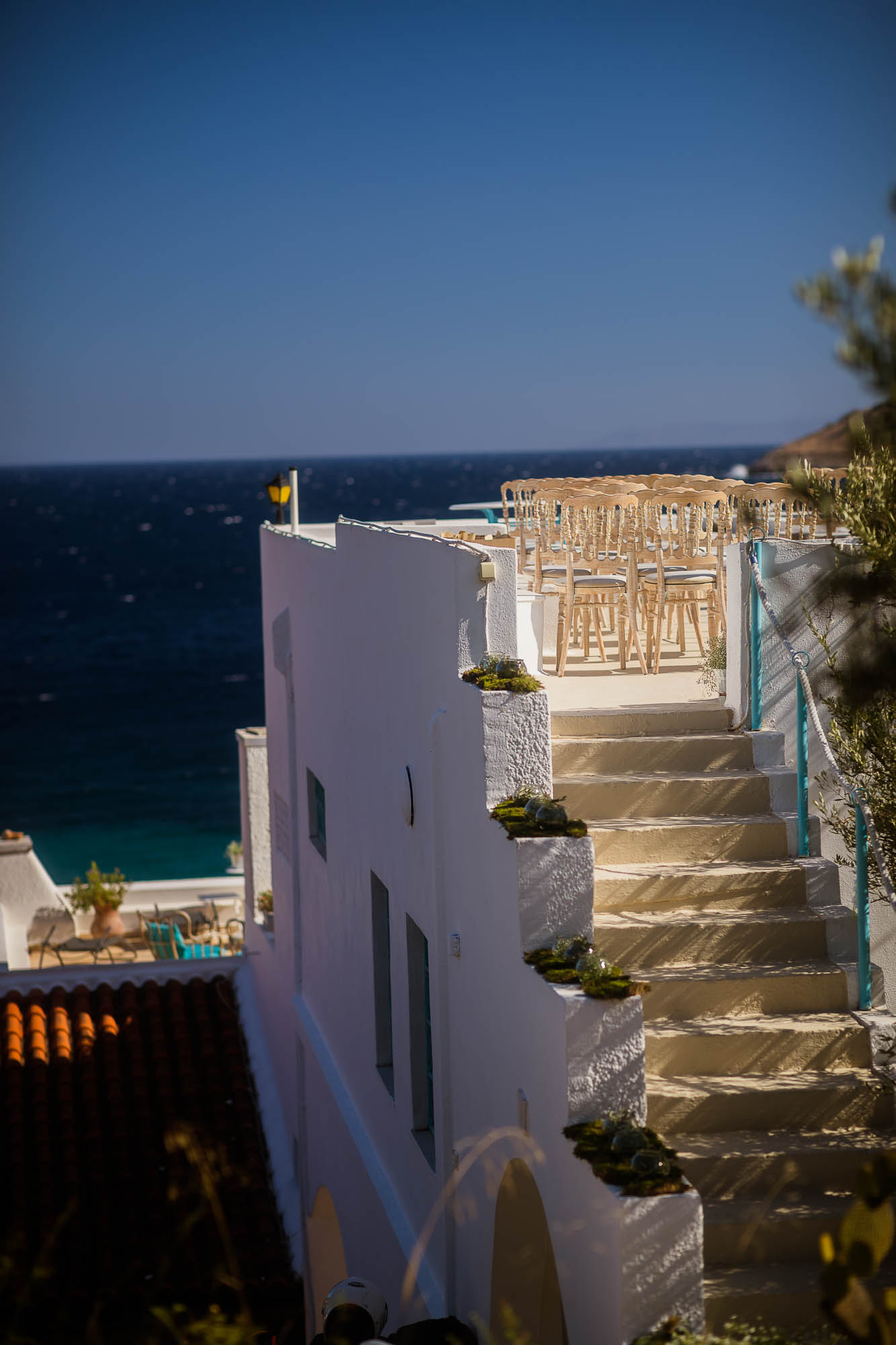 Export x3 1DX22633 Reportage