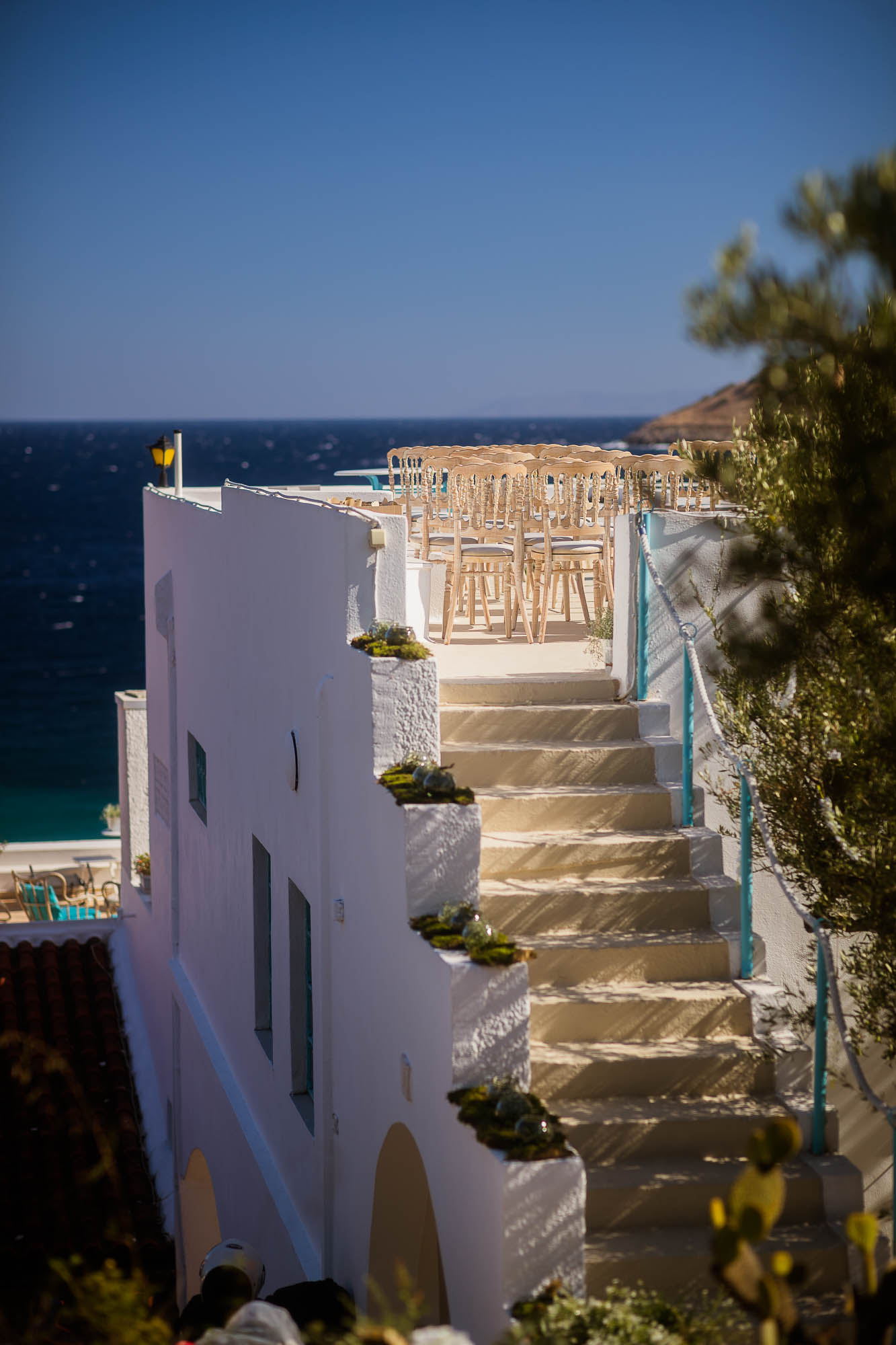 Export x3 1DX22644 Reportage