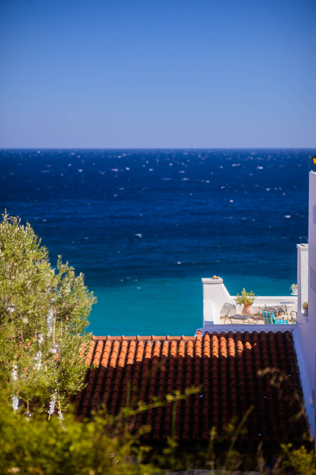 Export x3 1DX22646 Reportage