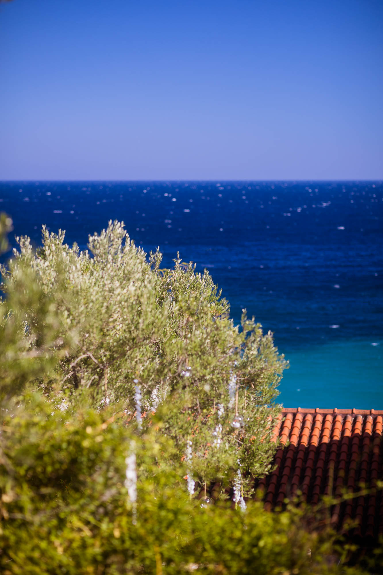 Export x3 1DX22647 Reportage