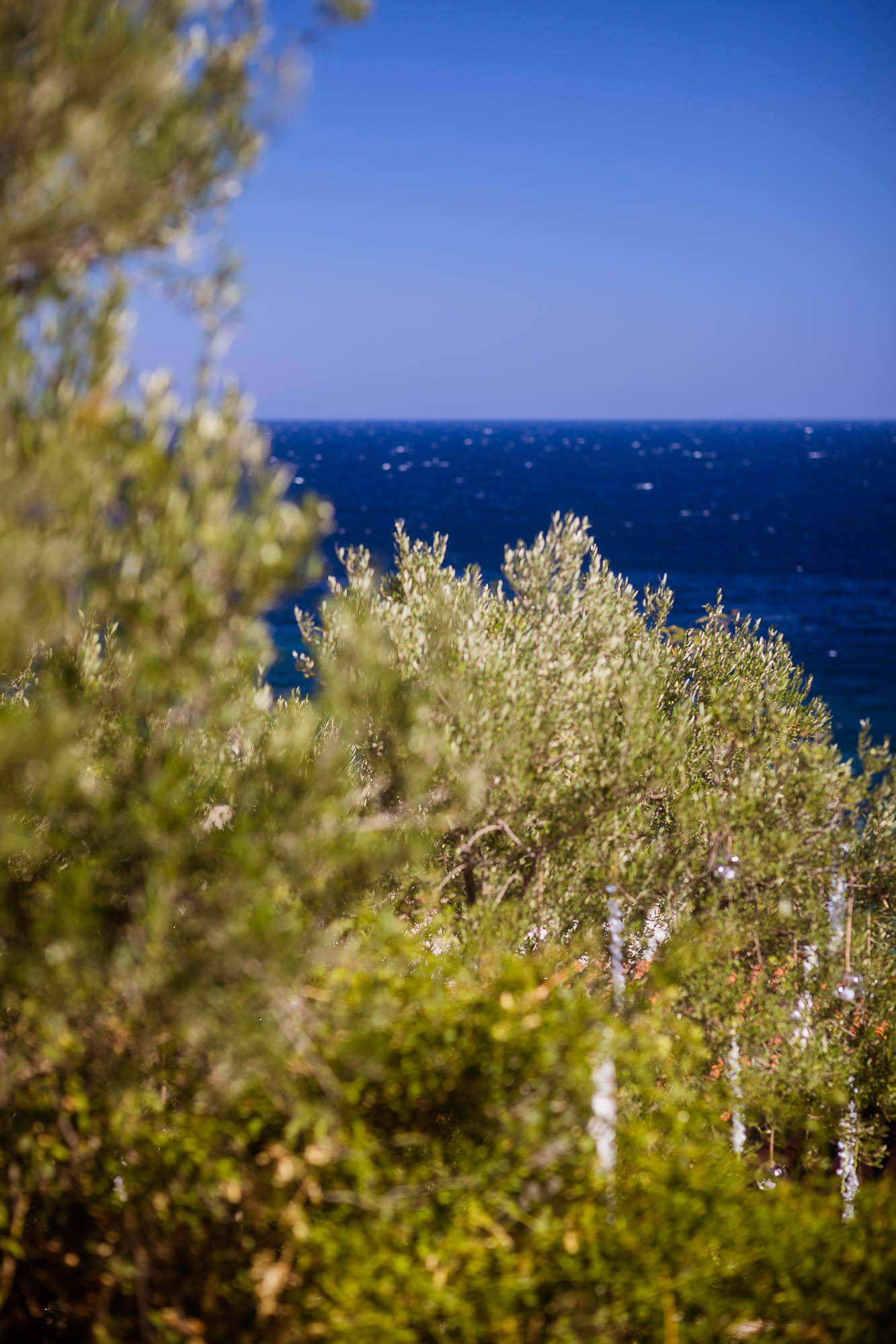 Export x3 1DX22648 Reportage