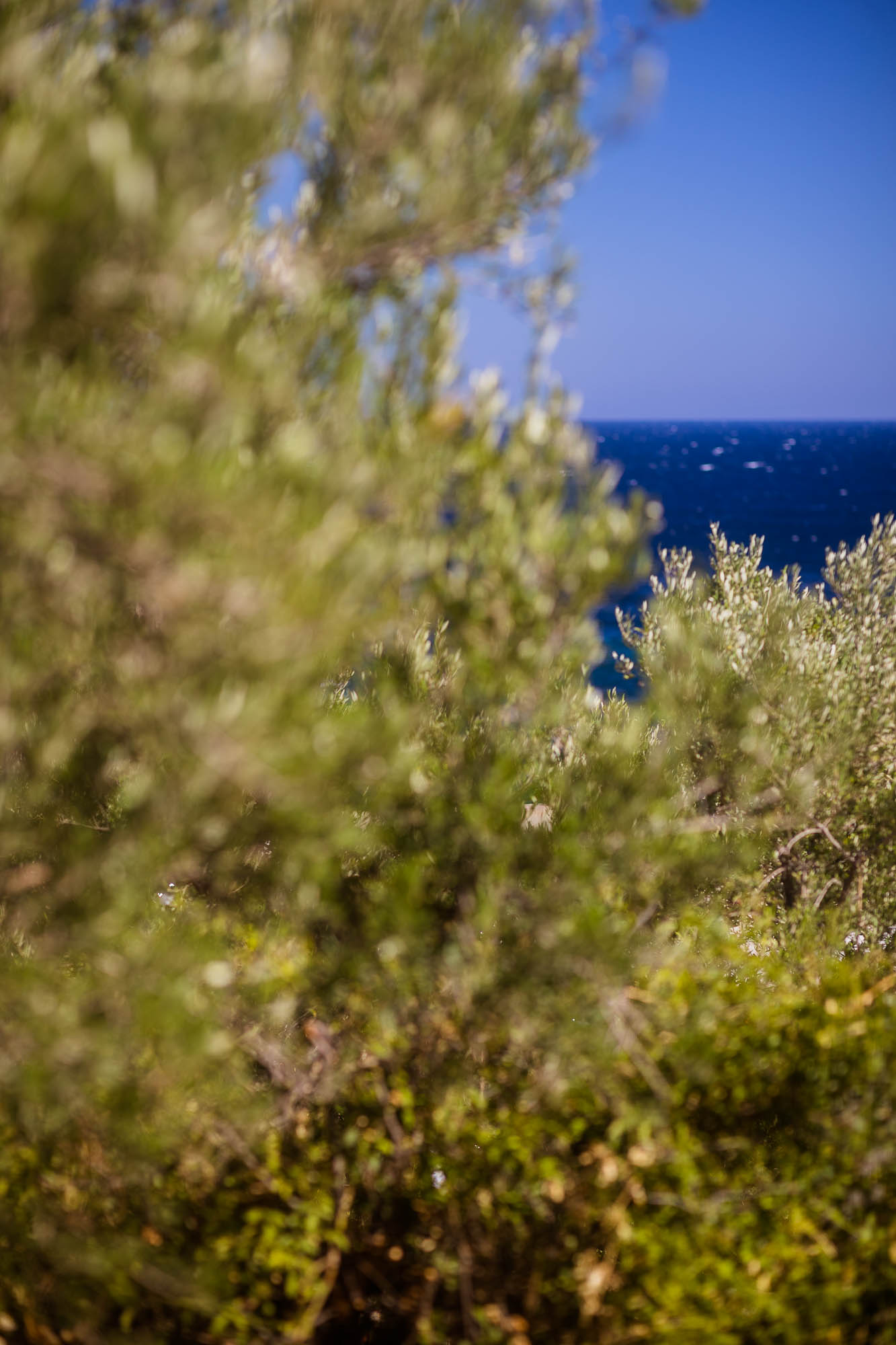 Export x3 1DX22649 Reportage