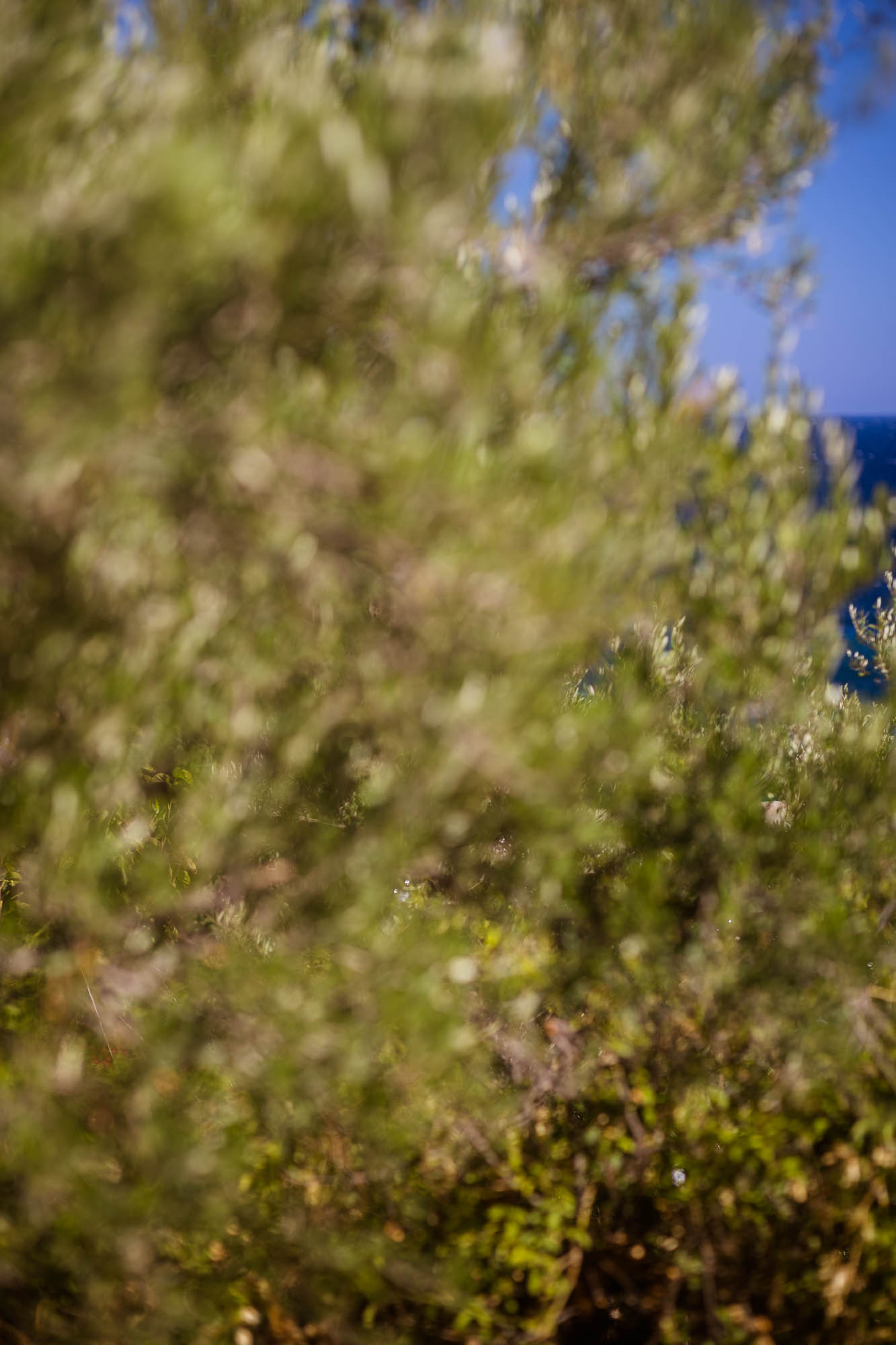 Export x3 1DX22650 Reportage