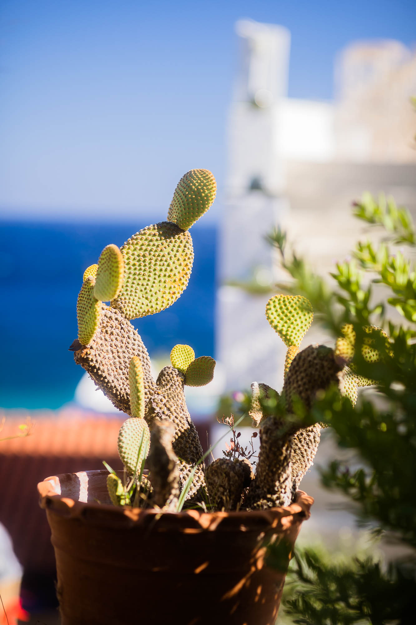 Export x3 1DX22651 Reportage