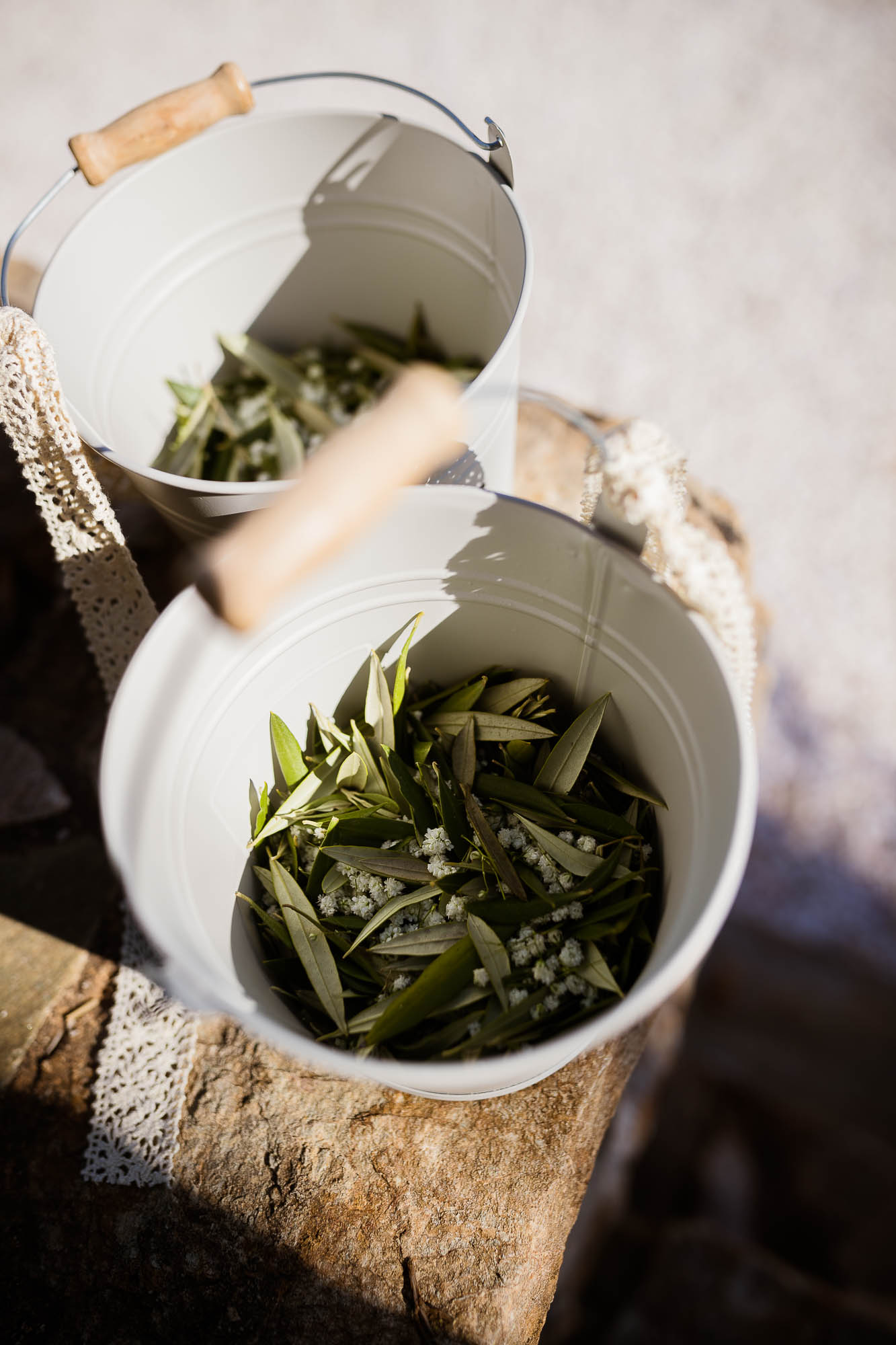 Export x3 1DX22653 Reportage