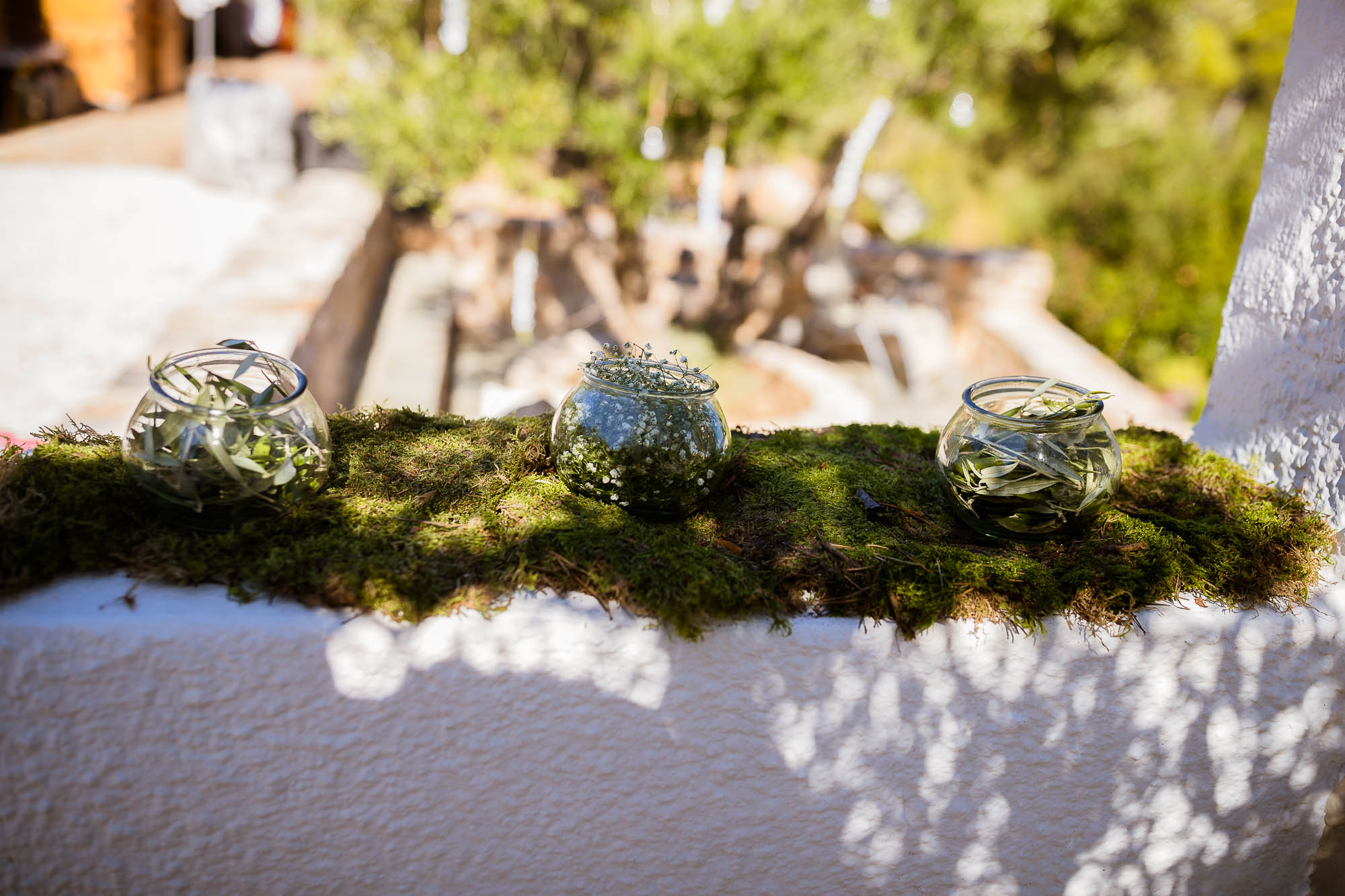 Export x3 1DX22656 Reportage