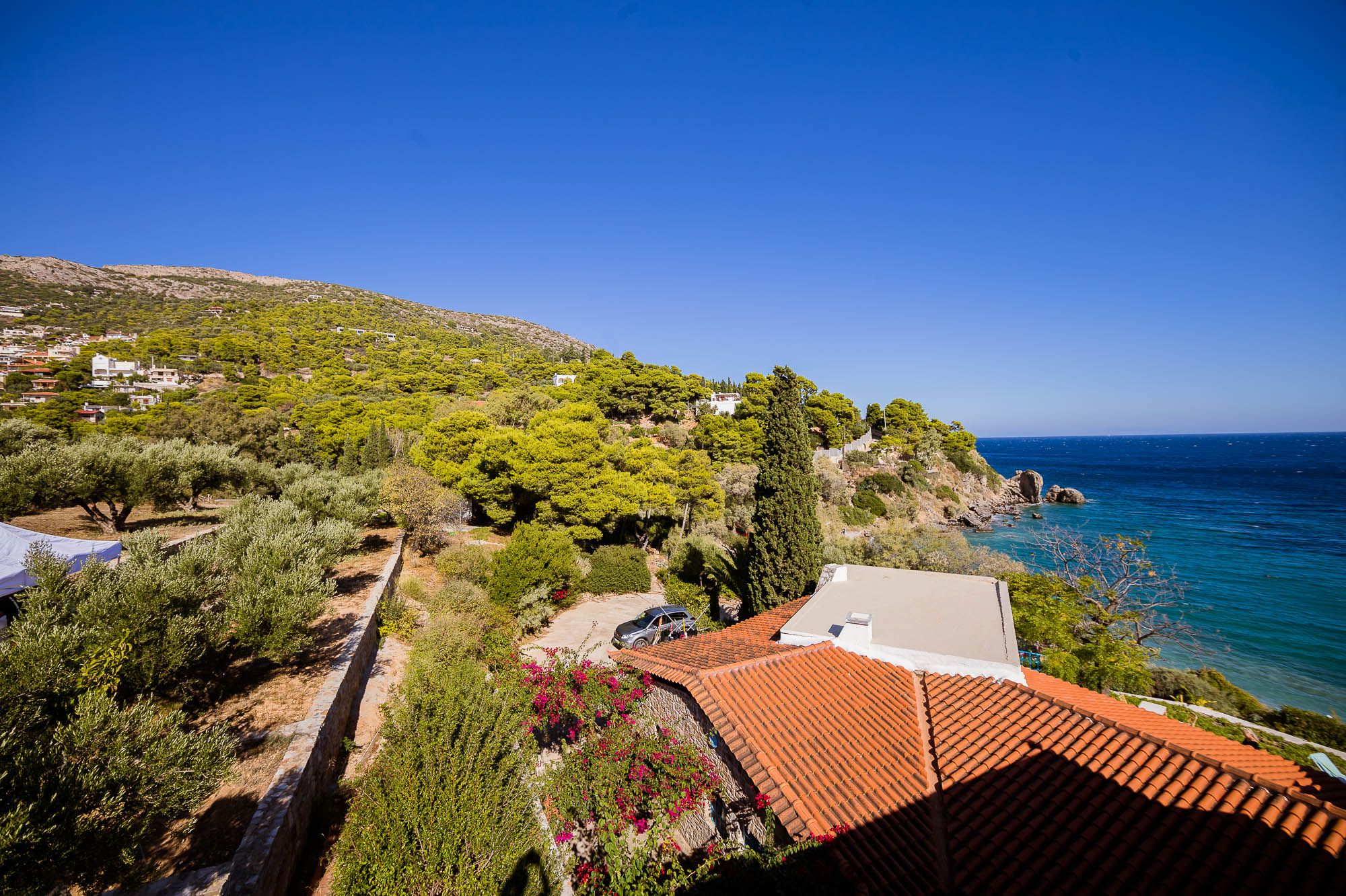 Export x3 1DX22663 Reportage