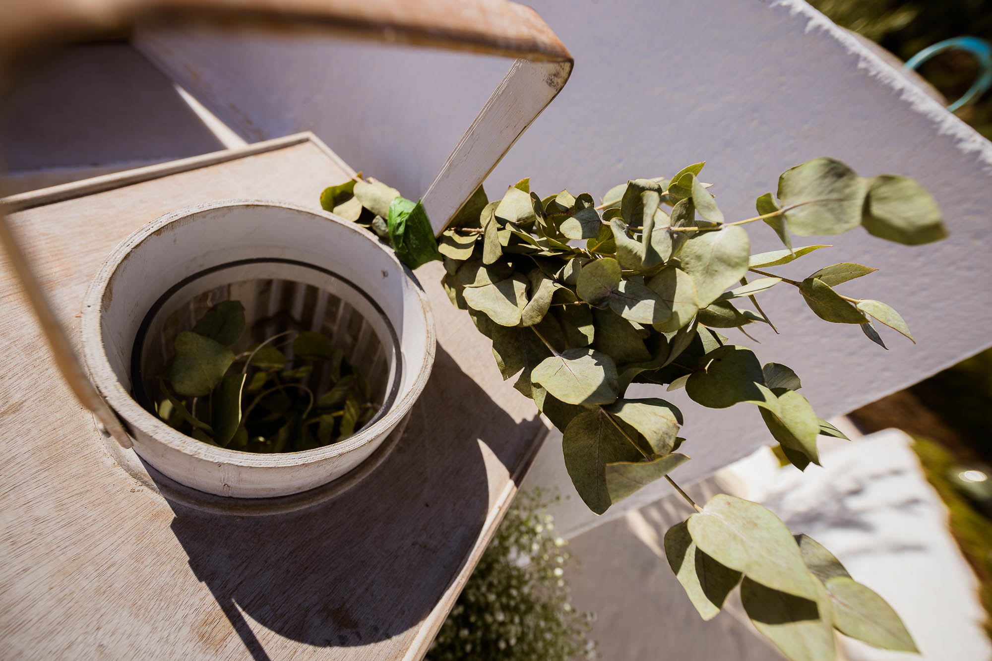 Export x3 1DX22664 Reportage