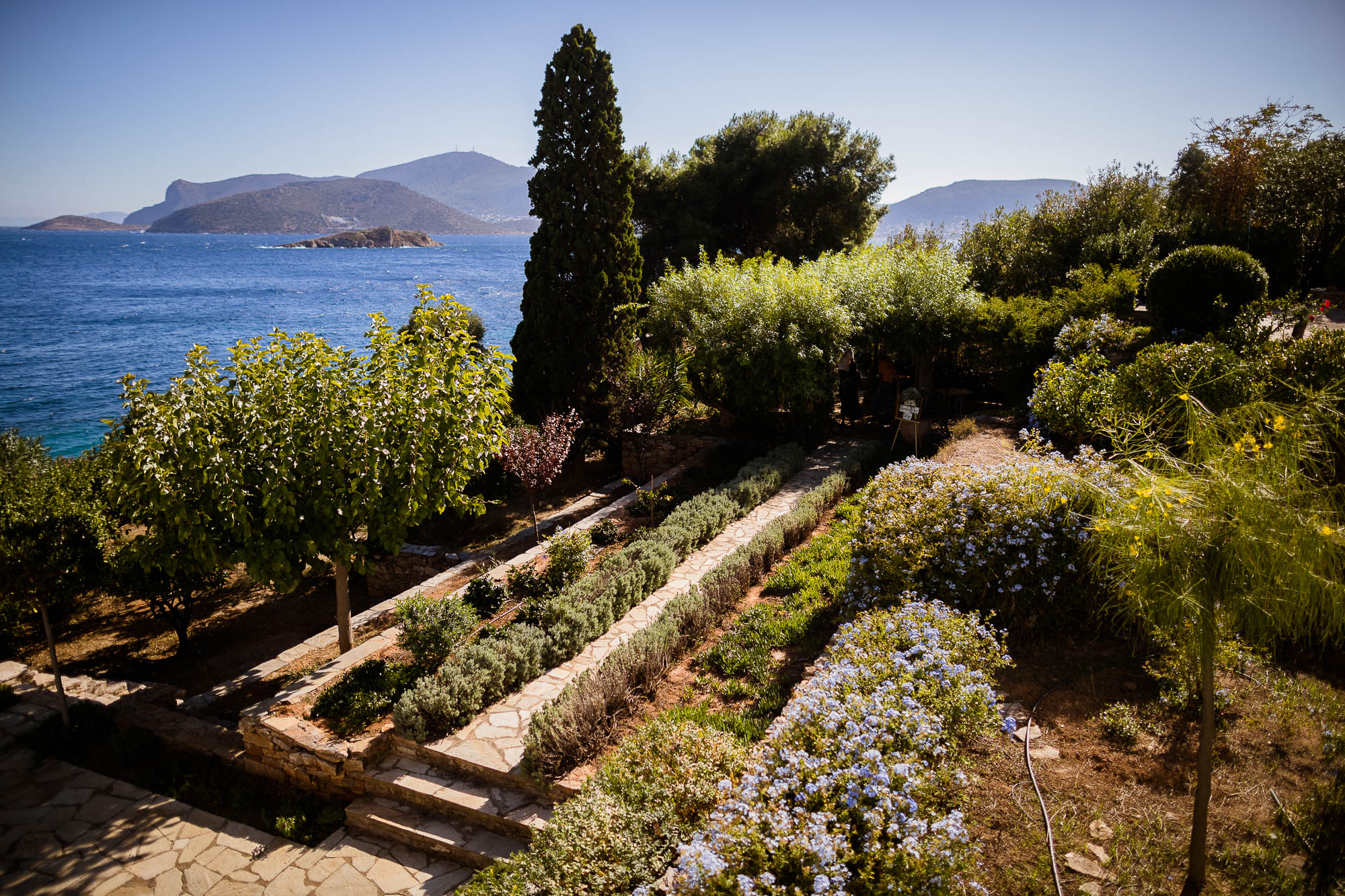 Export x3 1DX22670 Reportage