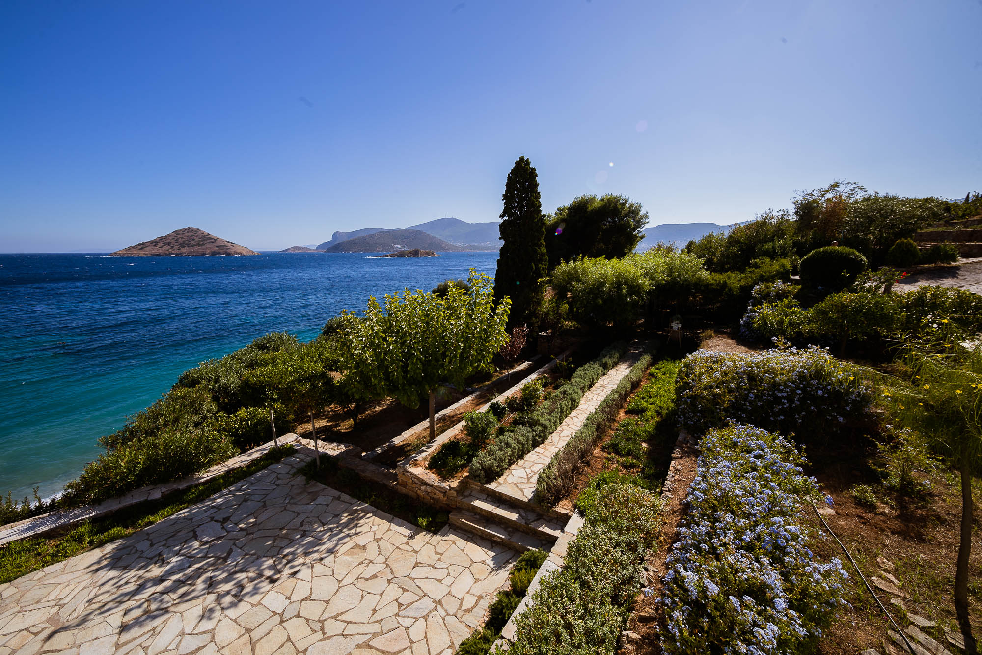 Export x3 1DX22672 Reportage