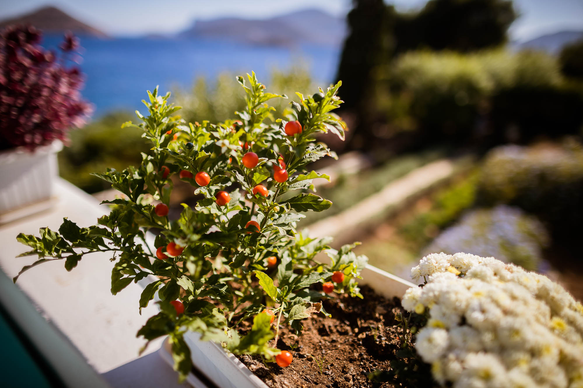 Export x3 1DX22676 Reportage