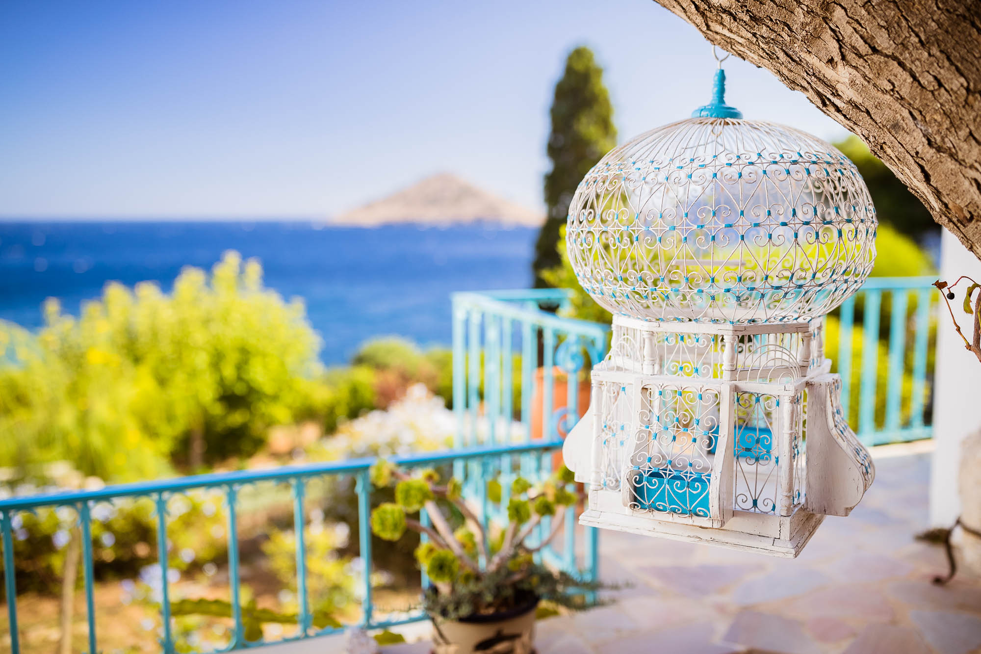 Export x3 1DX22698 Reportage