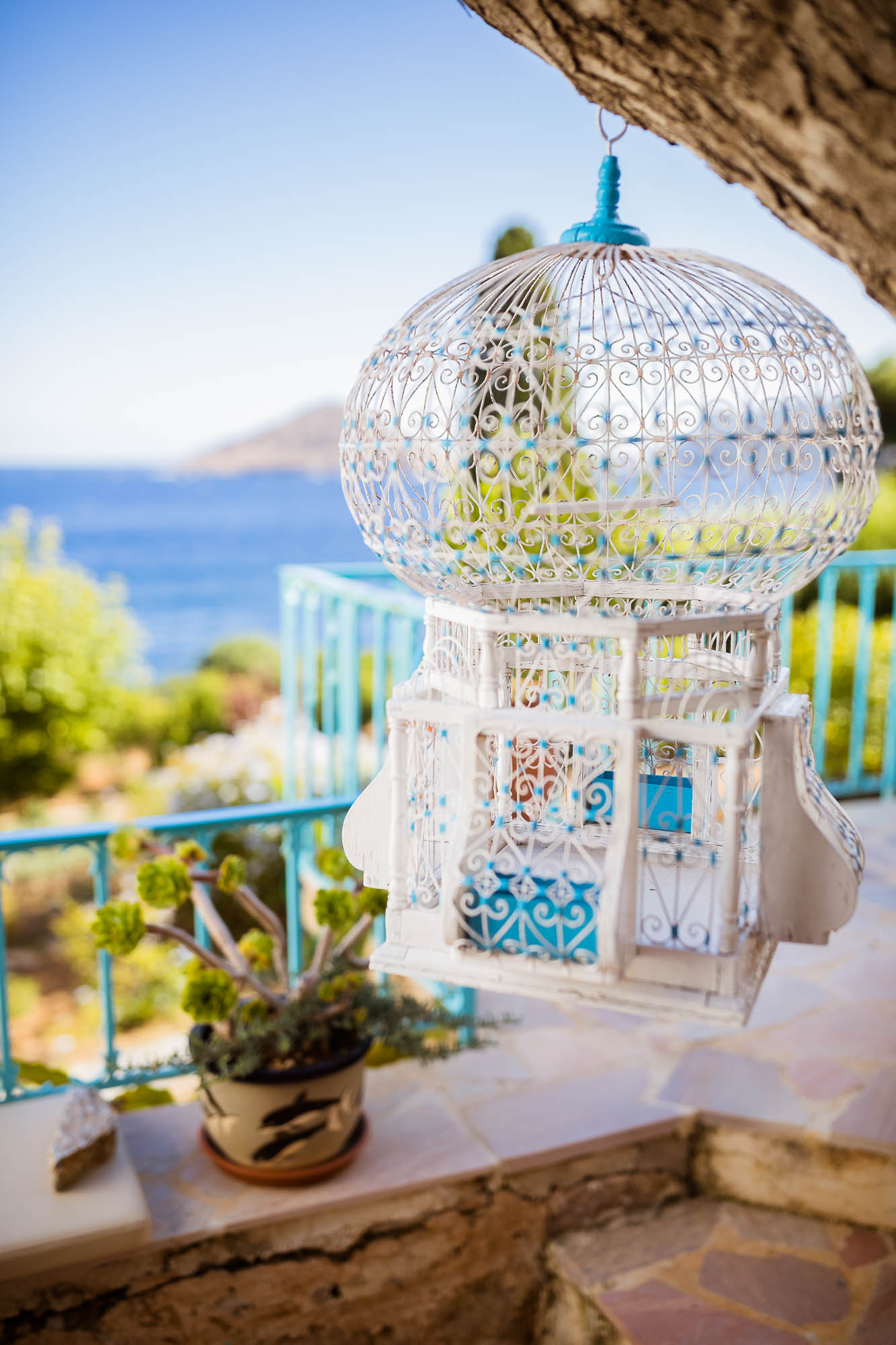 Export x3 1DX22699 Reportage