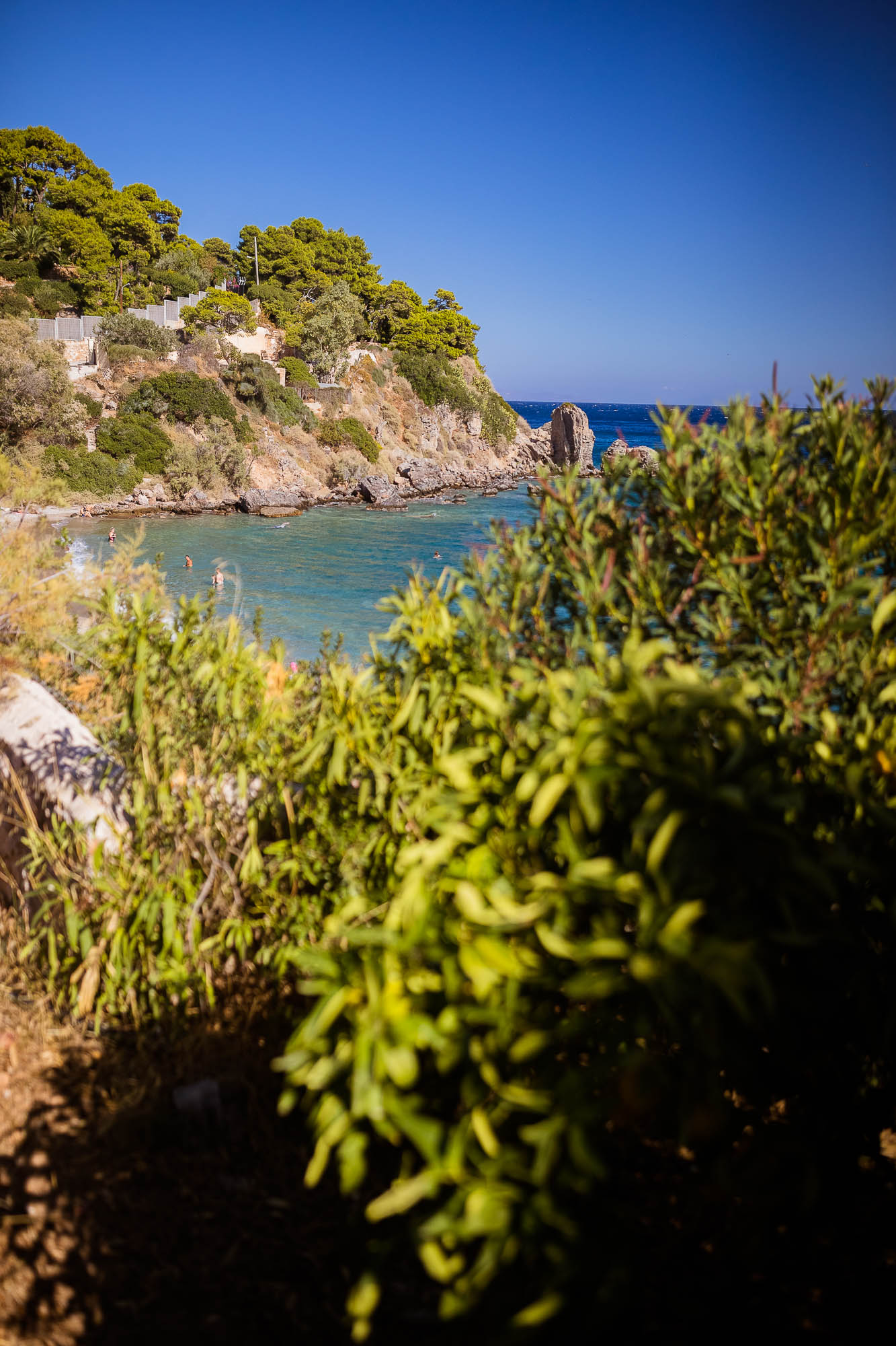 Export x3 1DX22708 Reportage