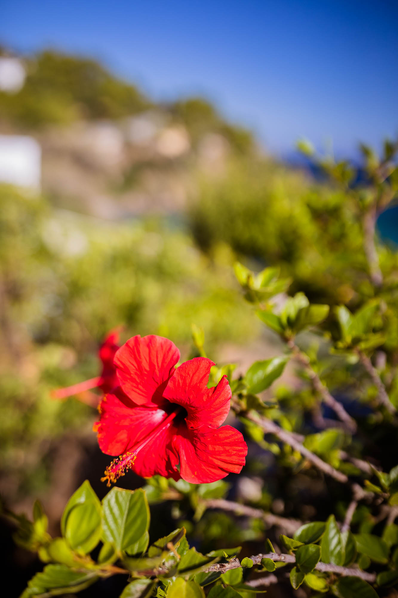 Export x3 1DX22717 Reportage