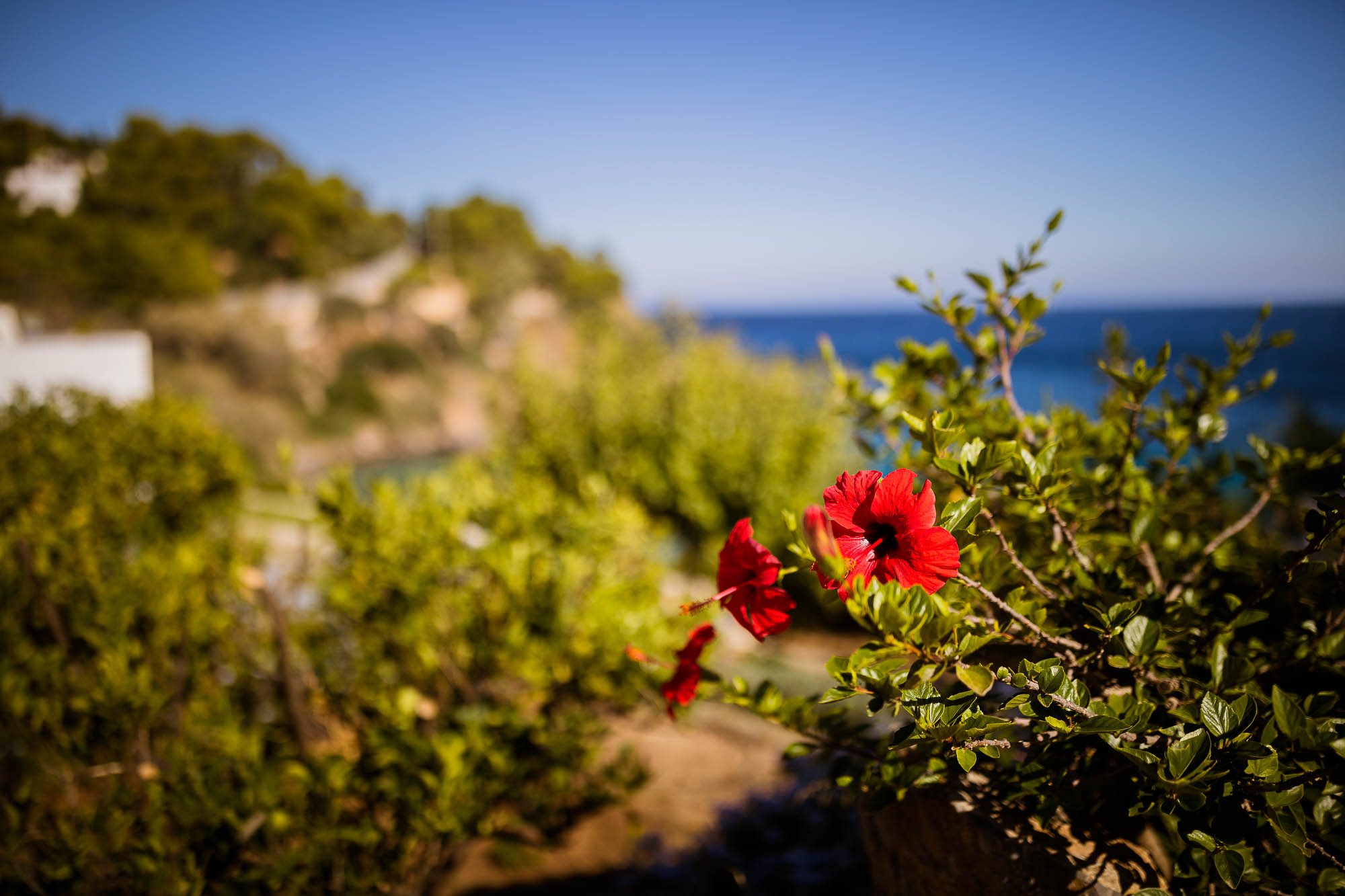 Export x3 1DX22718 Reportage