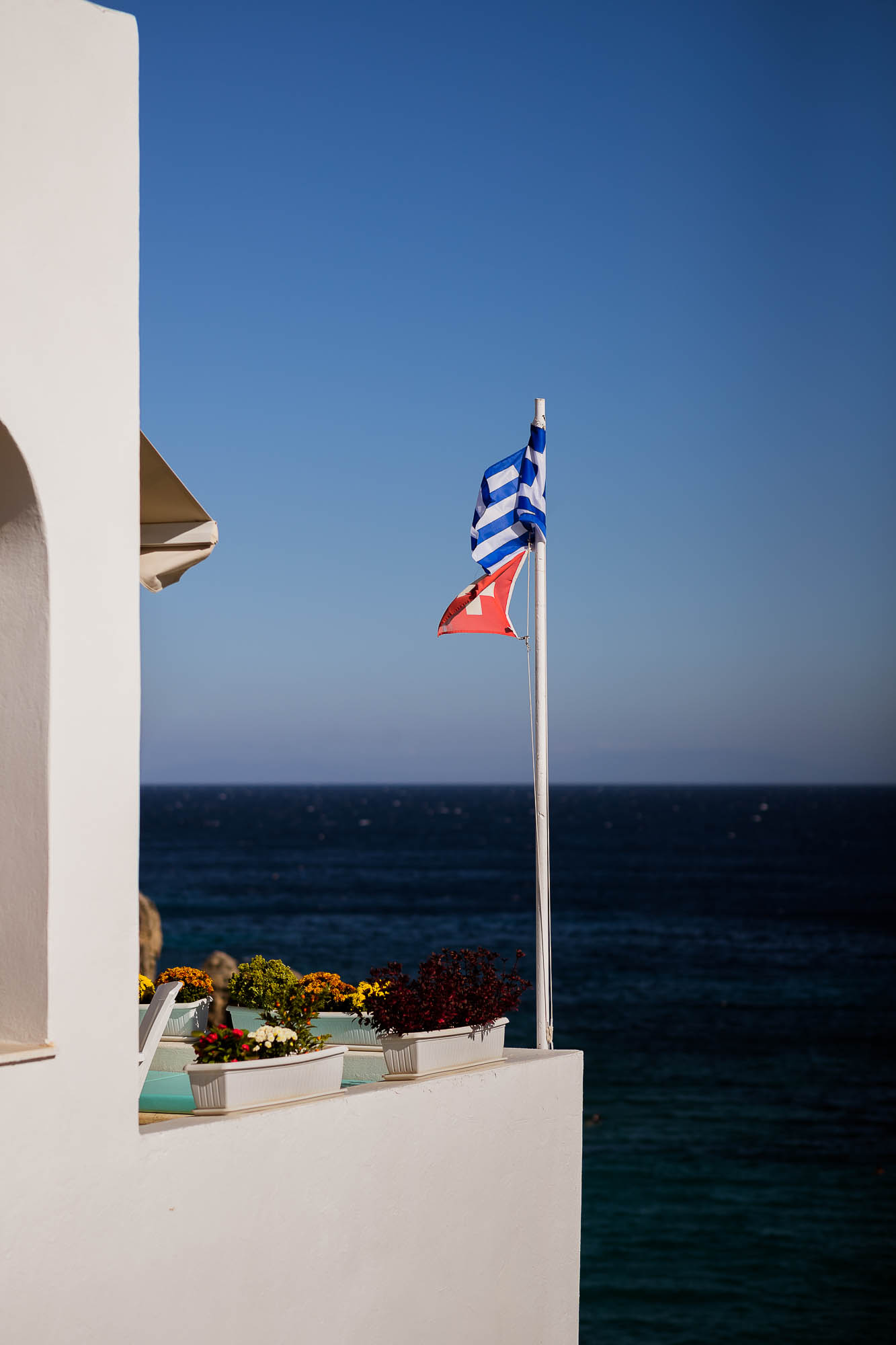 Export x3 1DX22745 Reportage