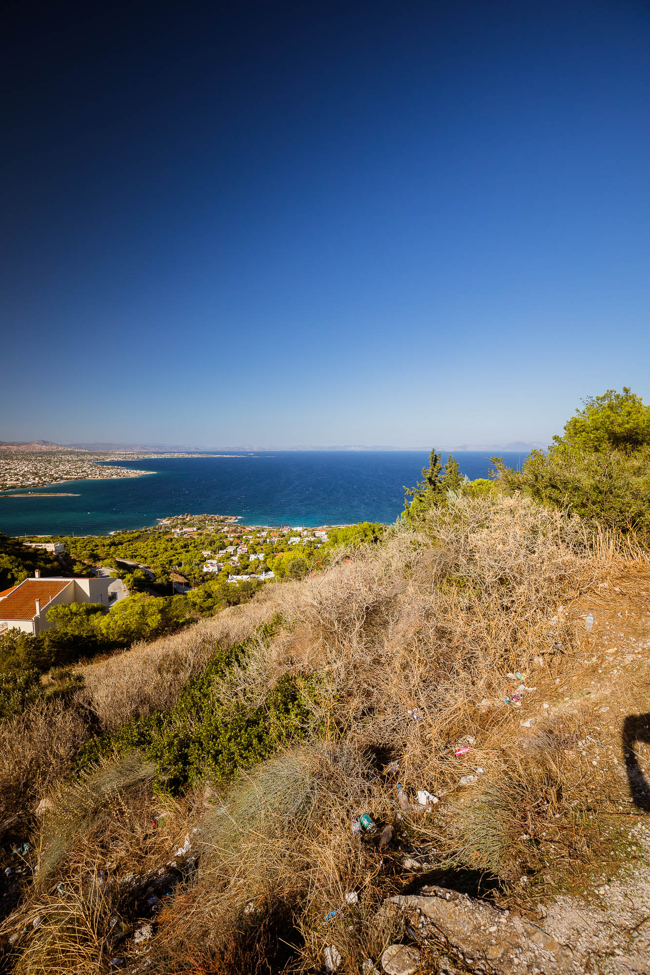 Export x3 5D4 8311 Reportage