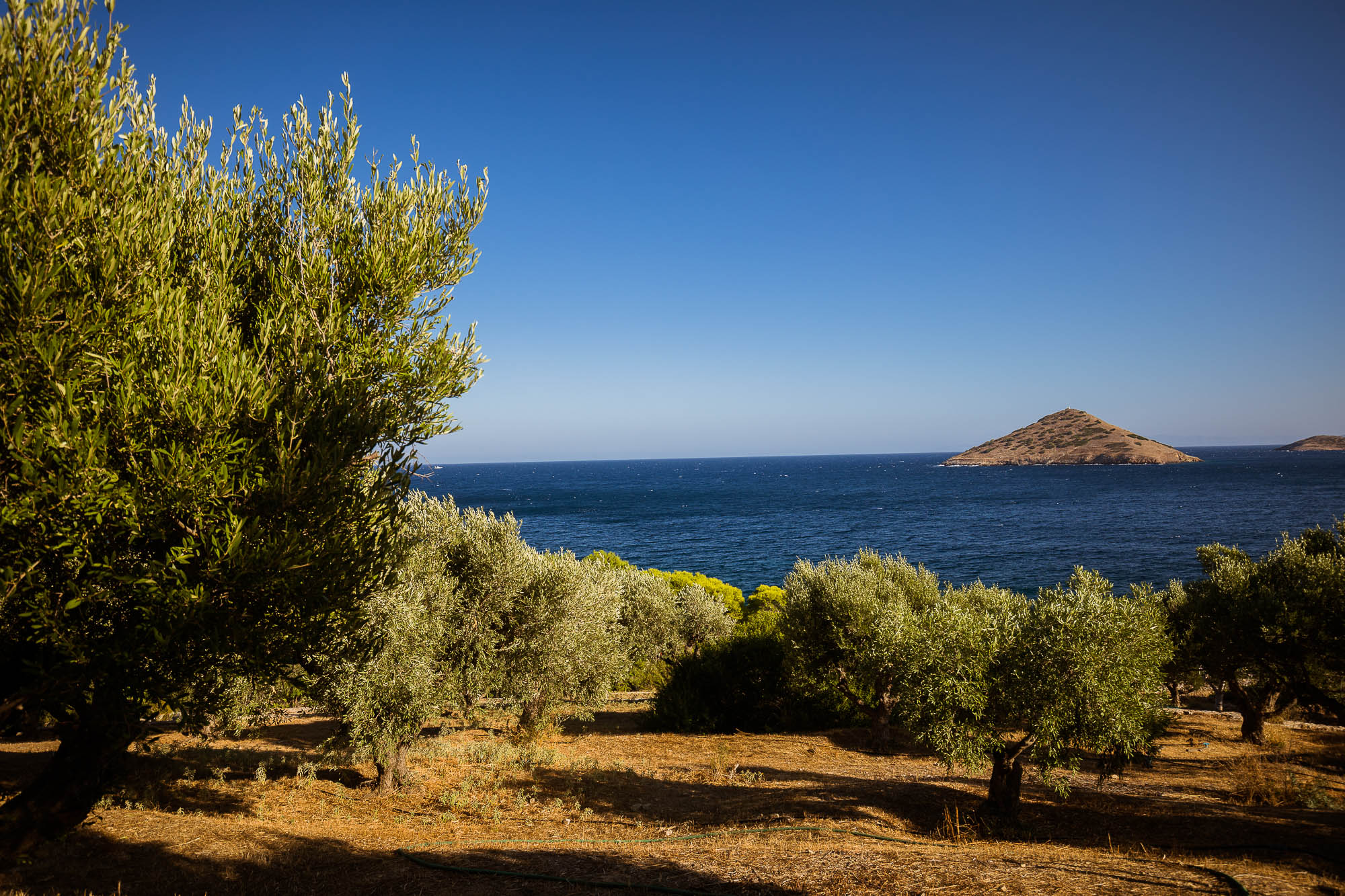 Export x3 5D4 8326 Reportage