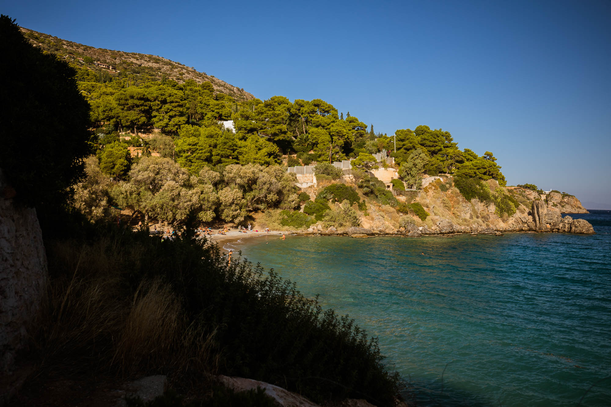 Export x3 5D4 8329 Reportage