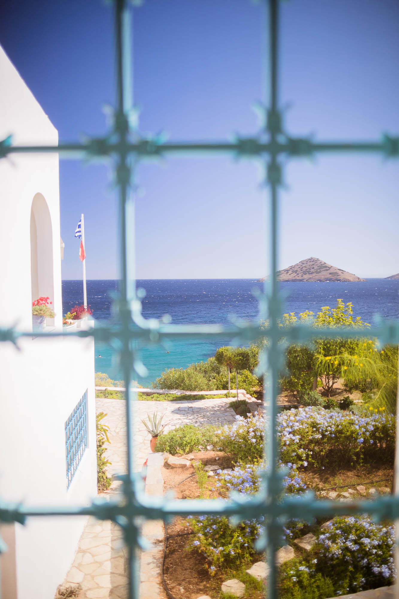 Export x3 1DX22346 Reportage