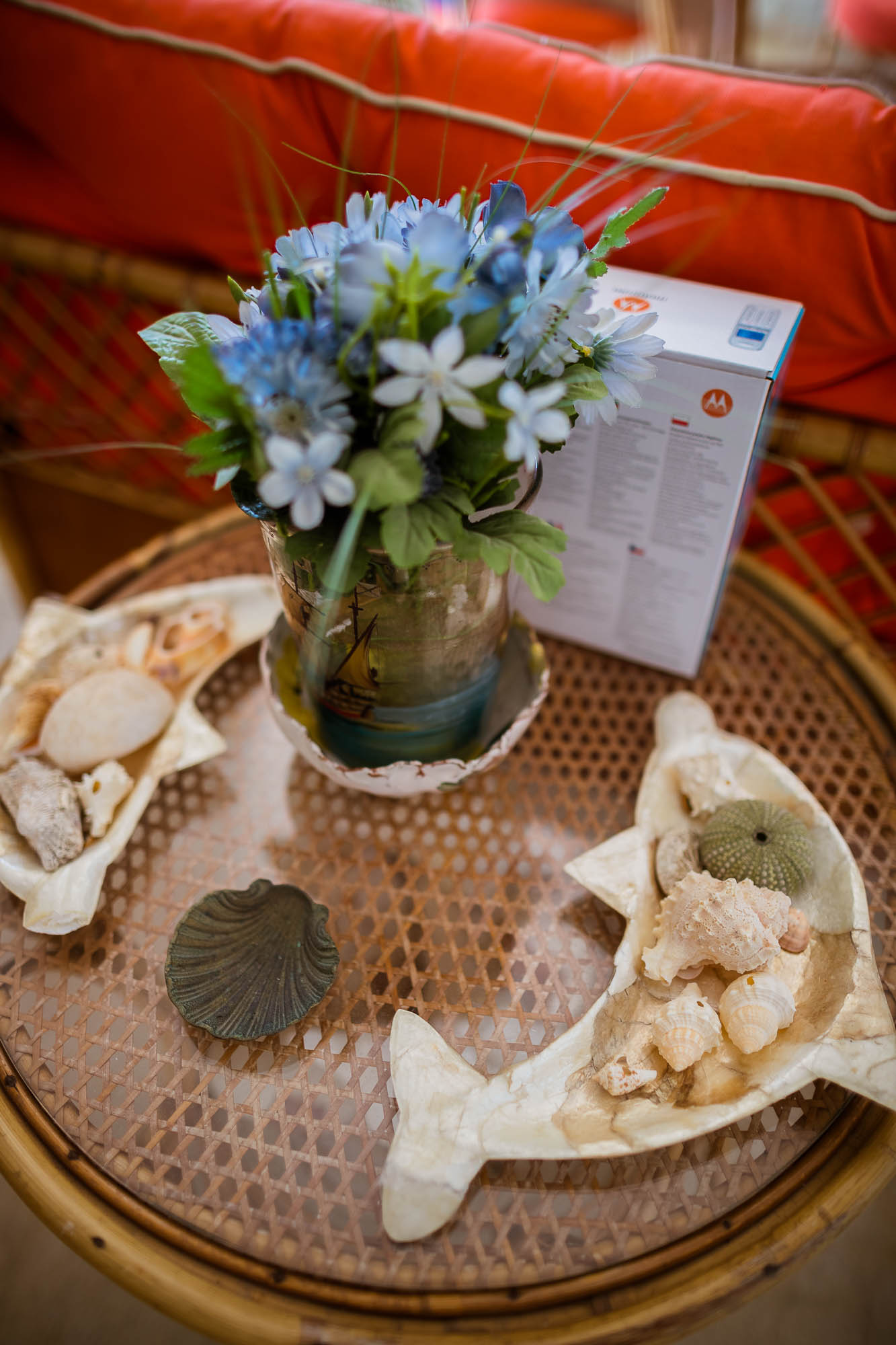 Export x3 1DX22351 Reportage