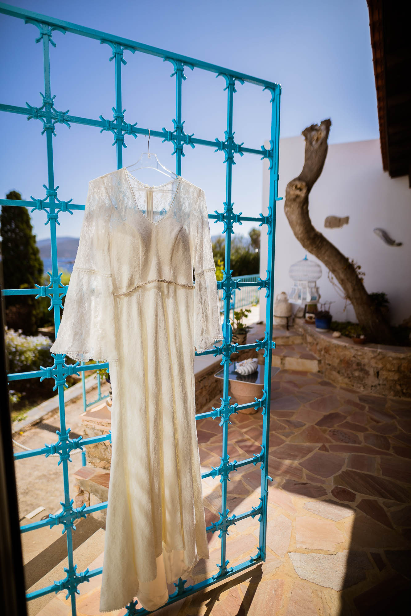 Export x3 1DX22448 Reportage