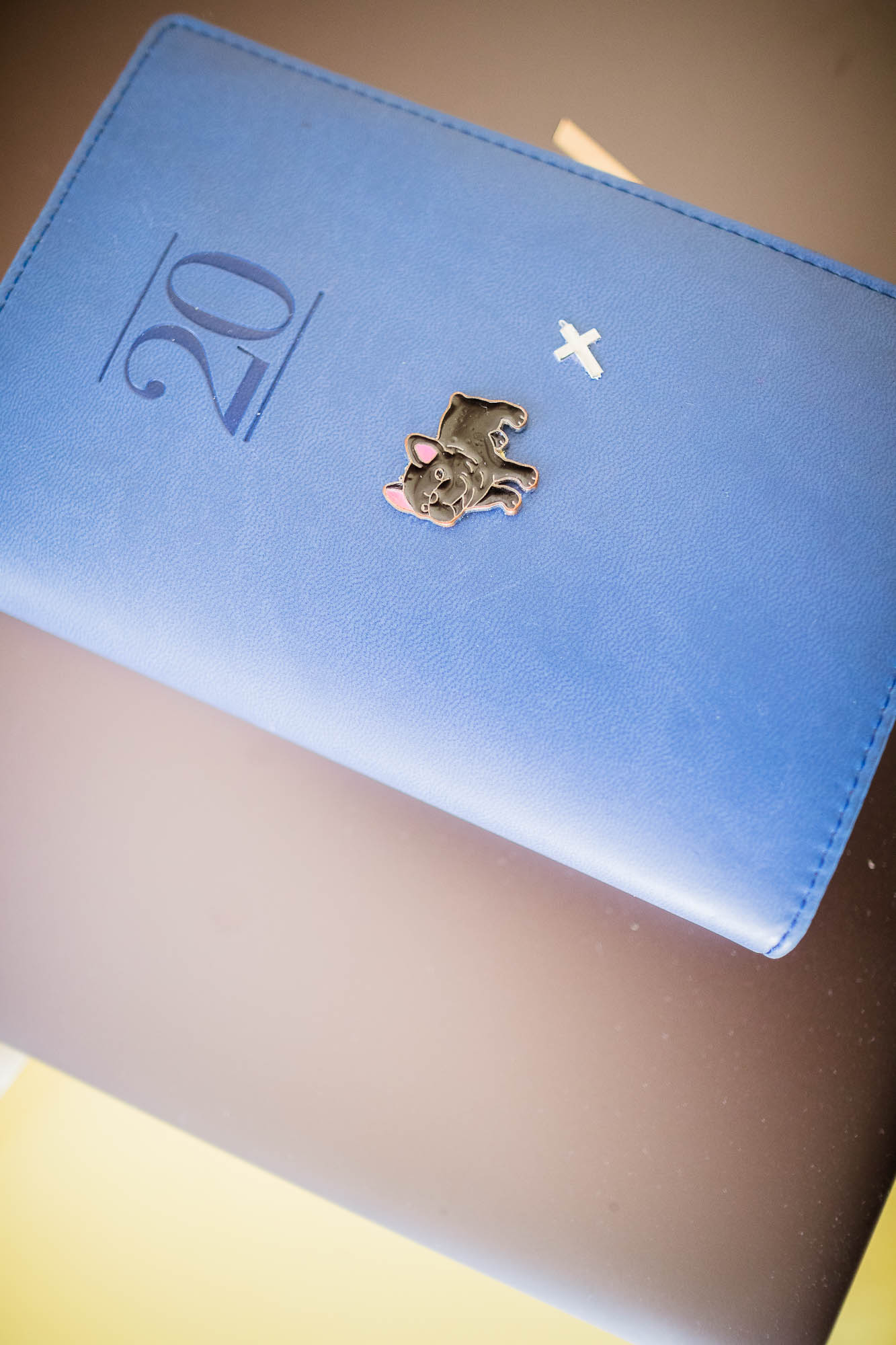 Export x3 1DX22518 Reportage