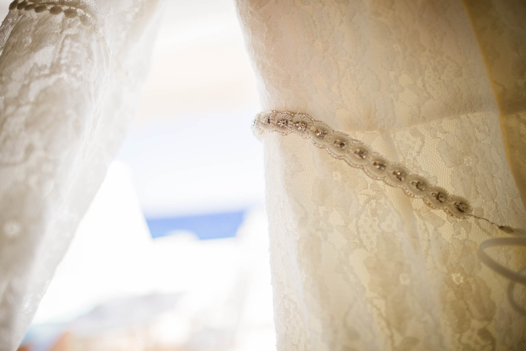 Export x3 1DX22542 Reportage