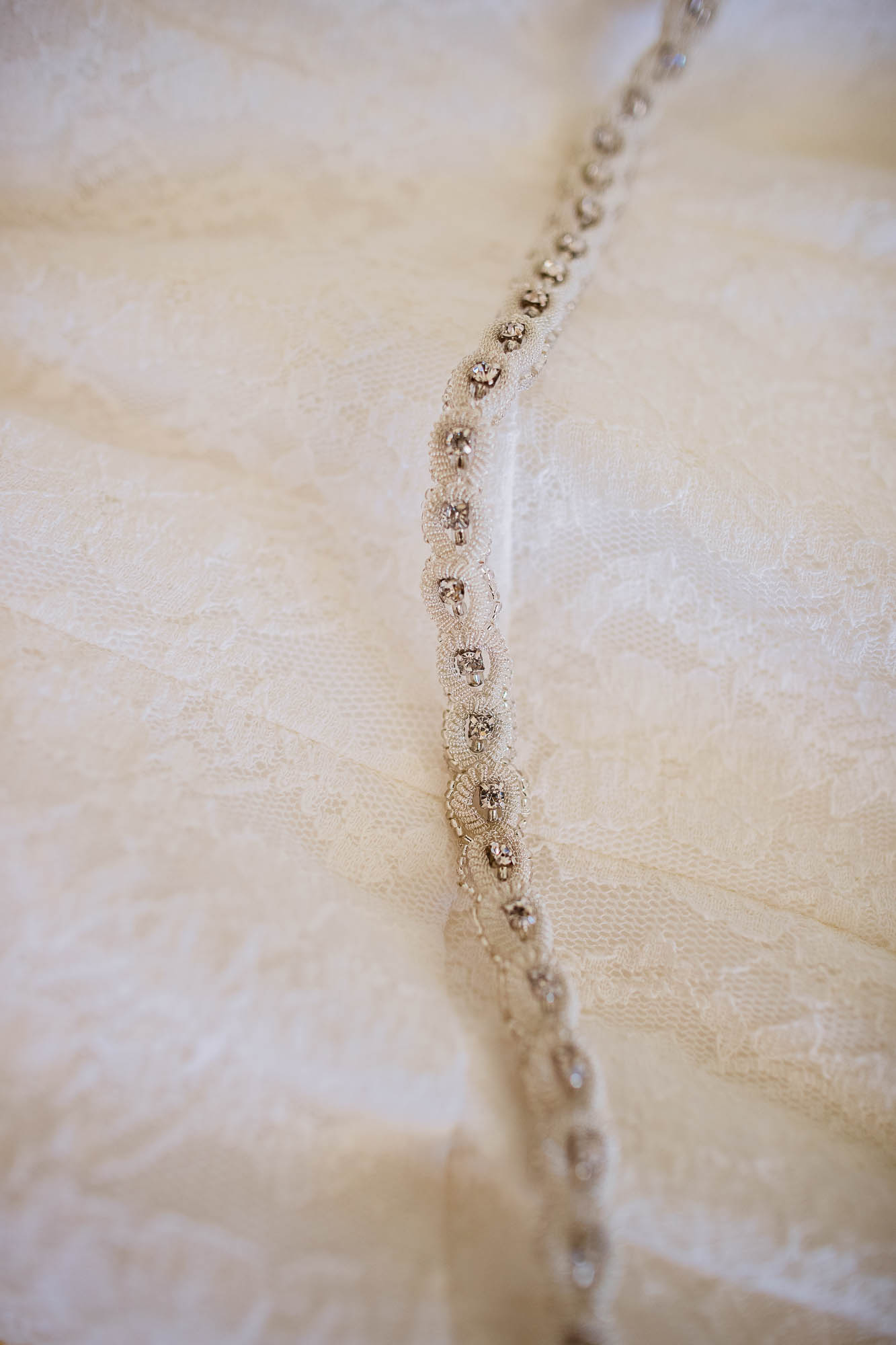 Export x3 1DX22569 Reportage