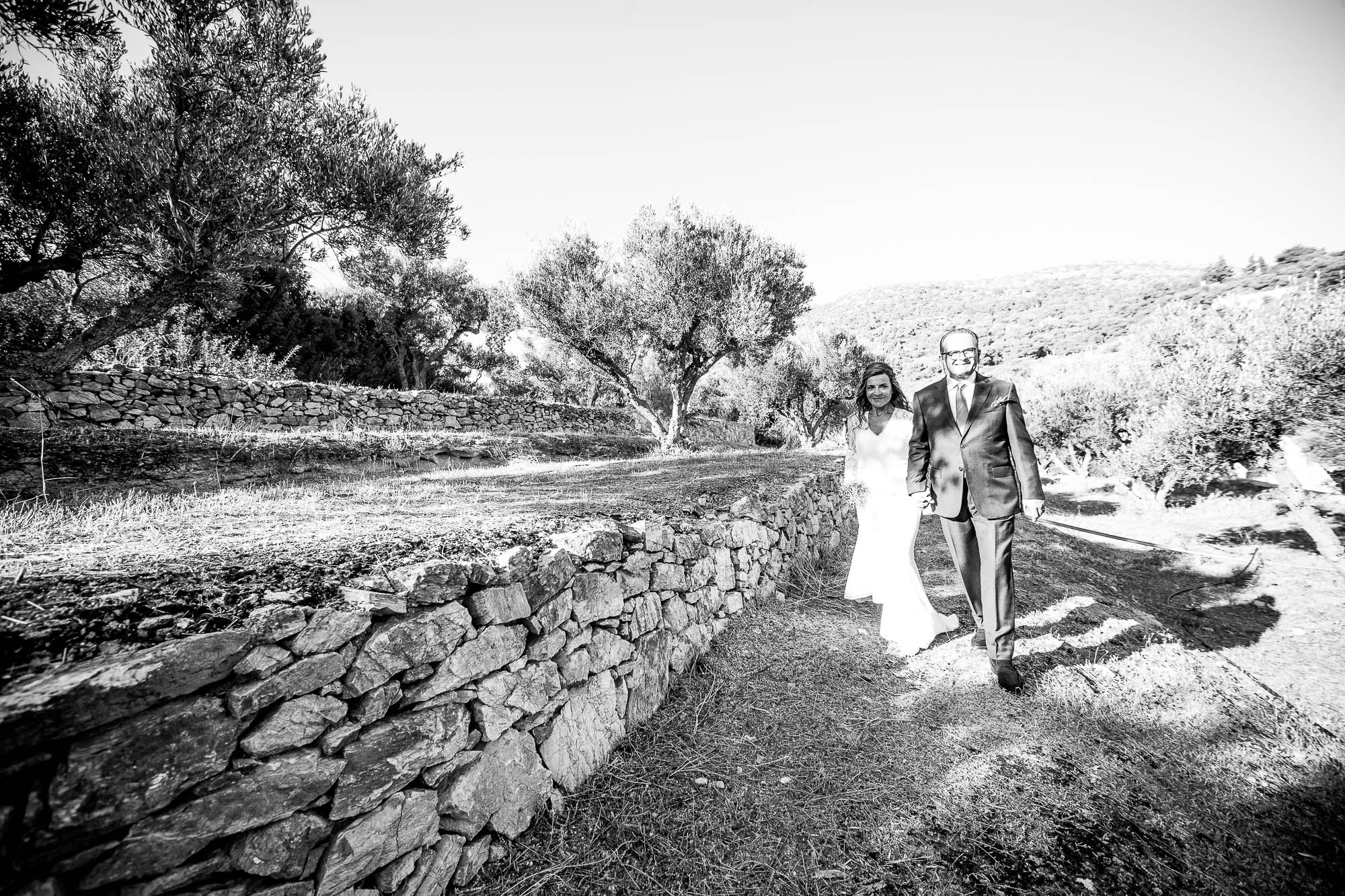 Export x3 1DX23280 Reportage