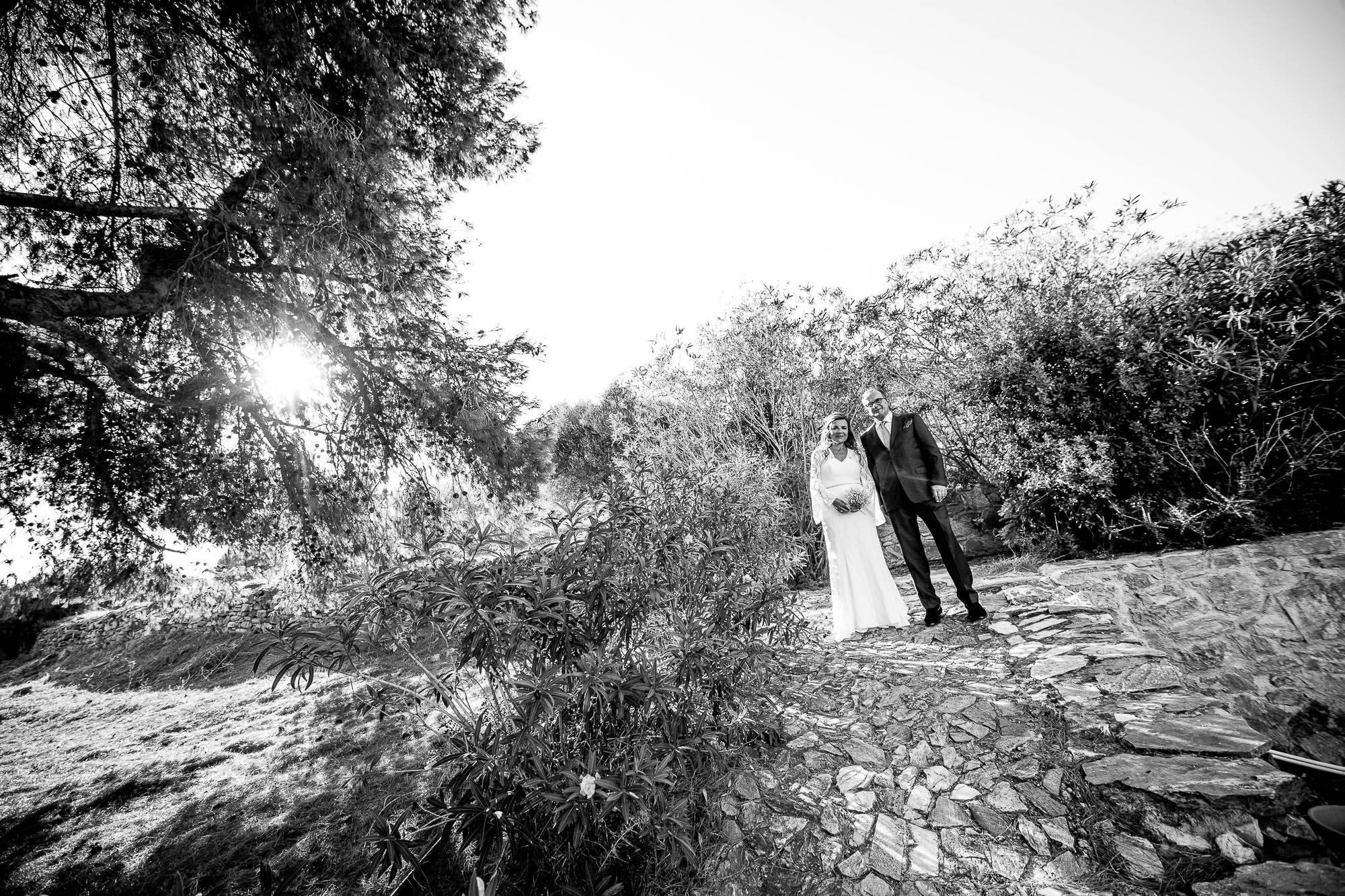 Export x3 1DX23308 Reportage 2