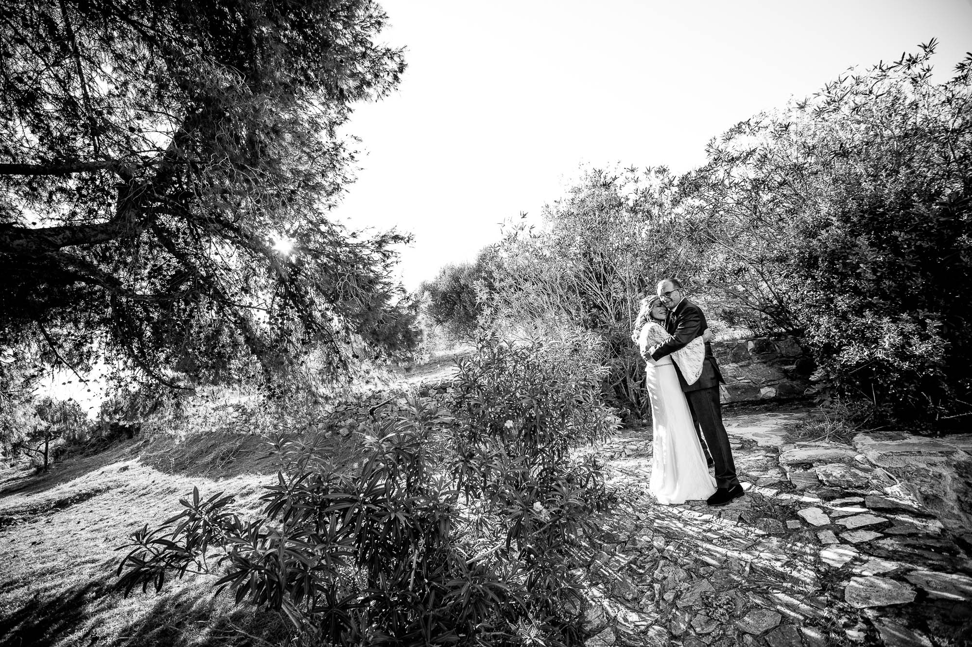 Export x3 1DX23314 Reportage 2