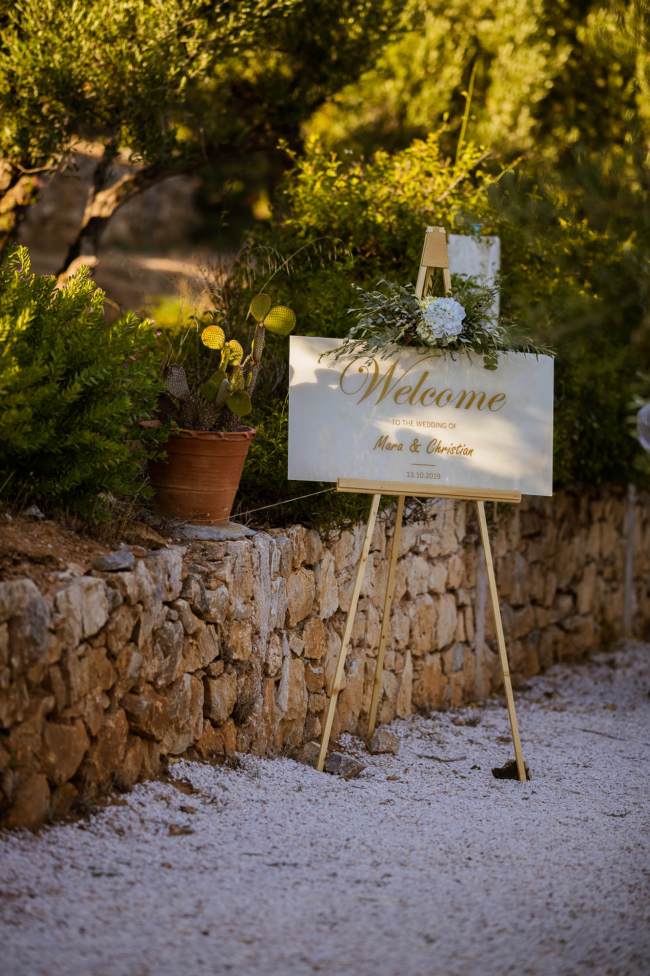 Export x3 1DX23555 Reportage