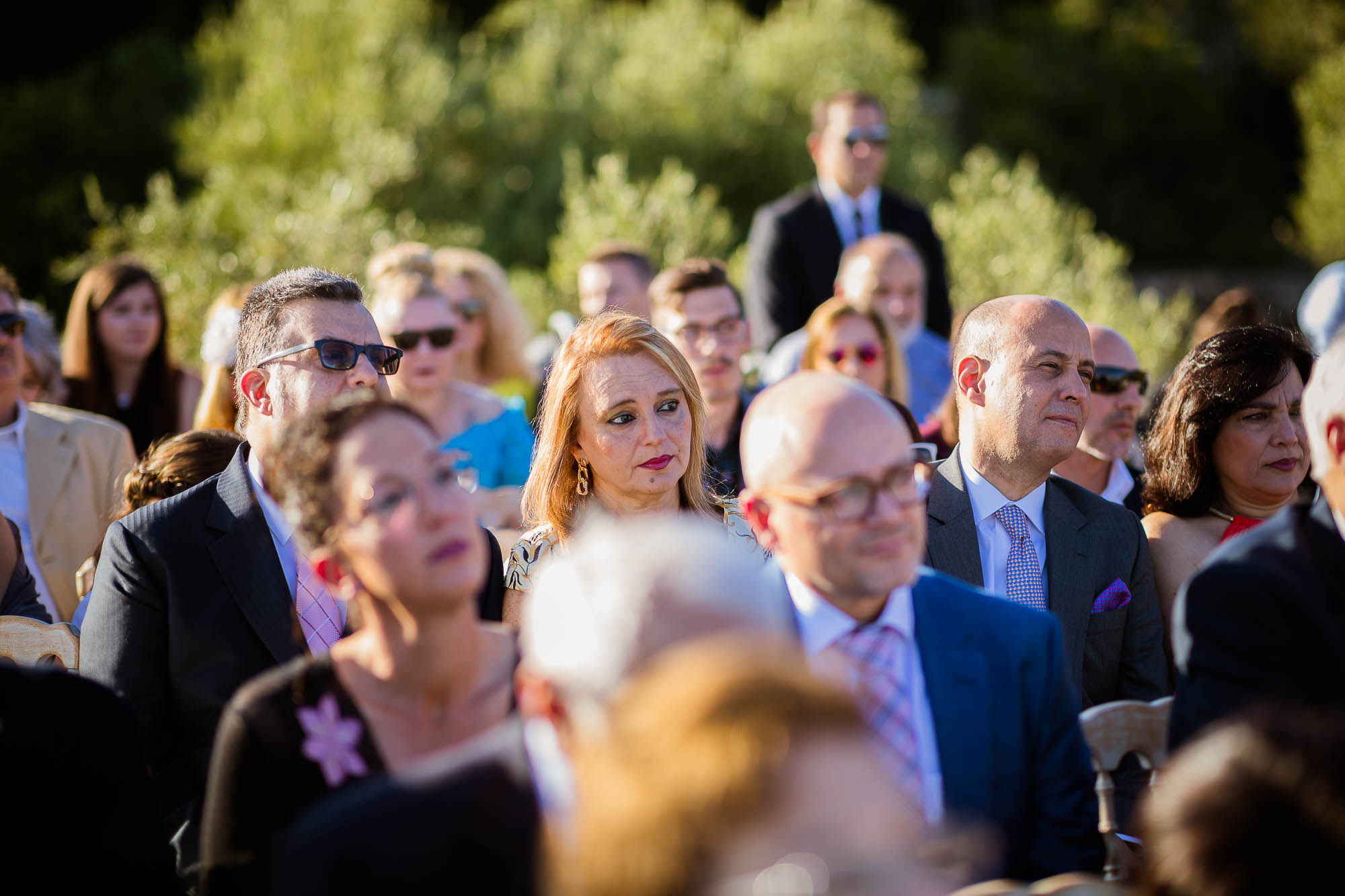 Export x3 1DX23569 Reportage