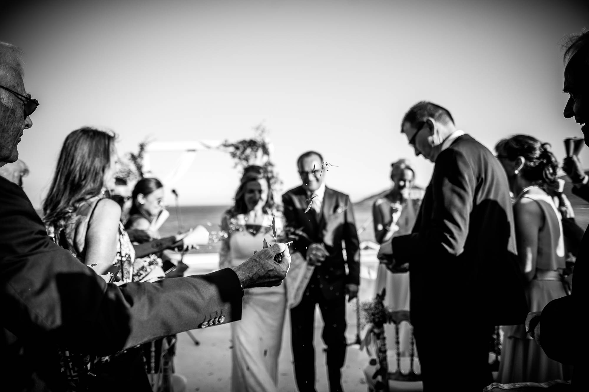 Export x3 1DX23662 Reportage