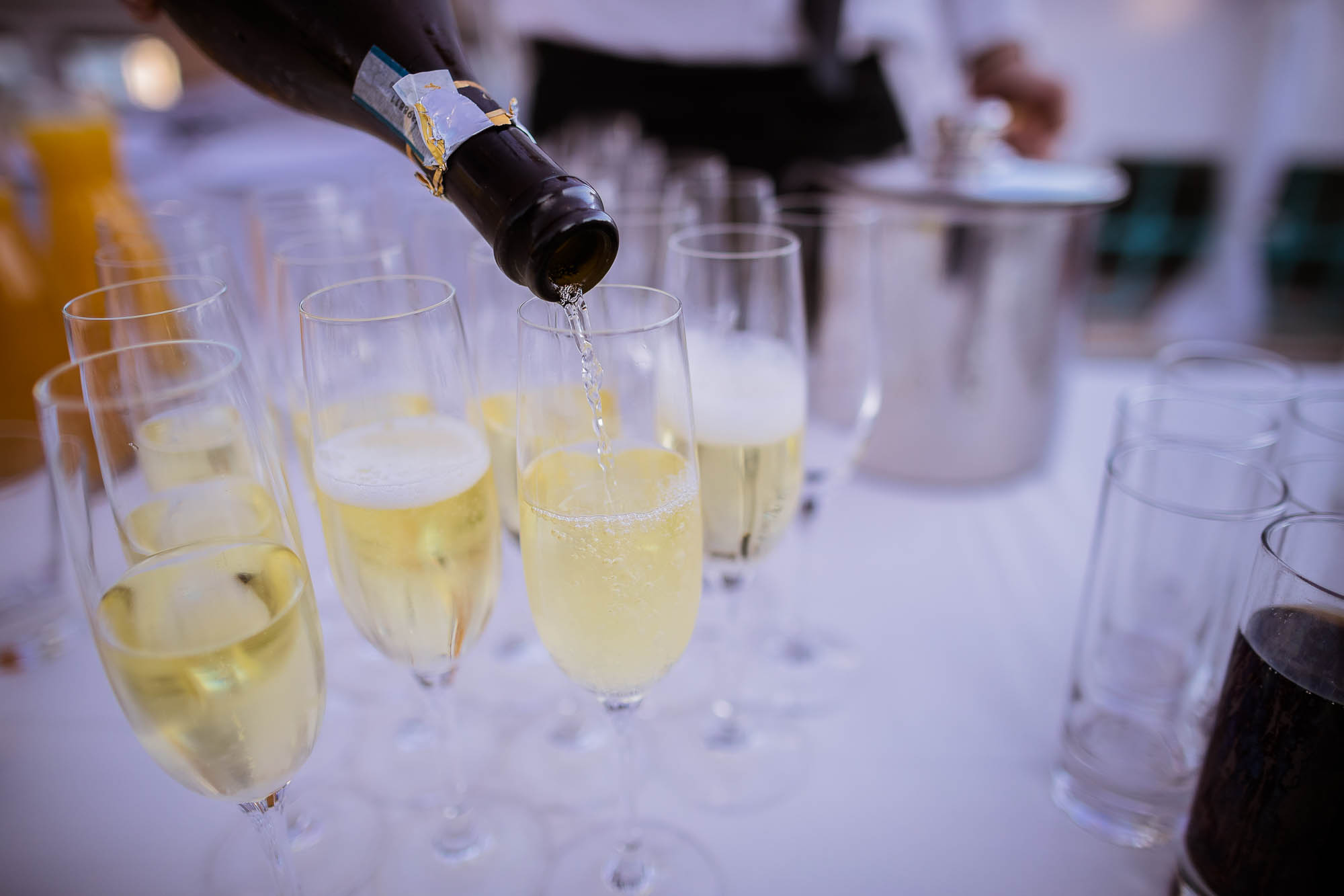 Export x3 1DX23811 Reportage